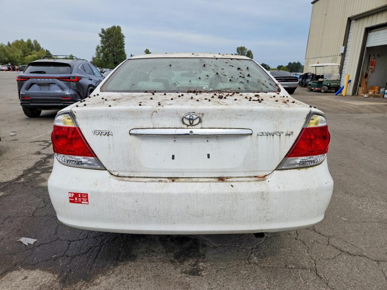 2006 Toyota Camry Le White vin: 4T1BE32K16U648941