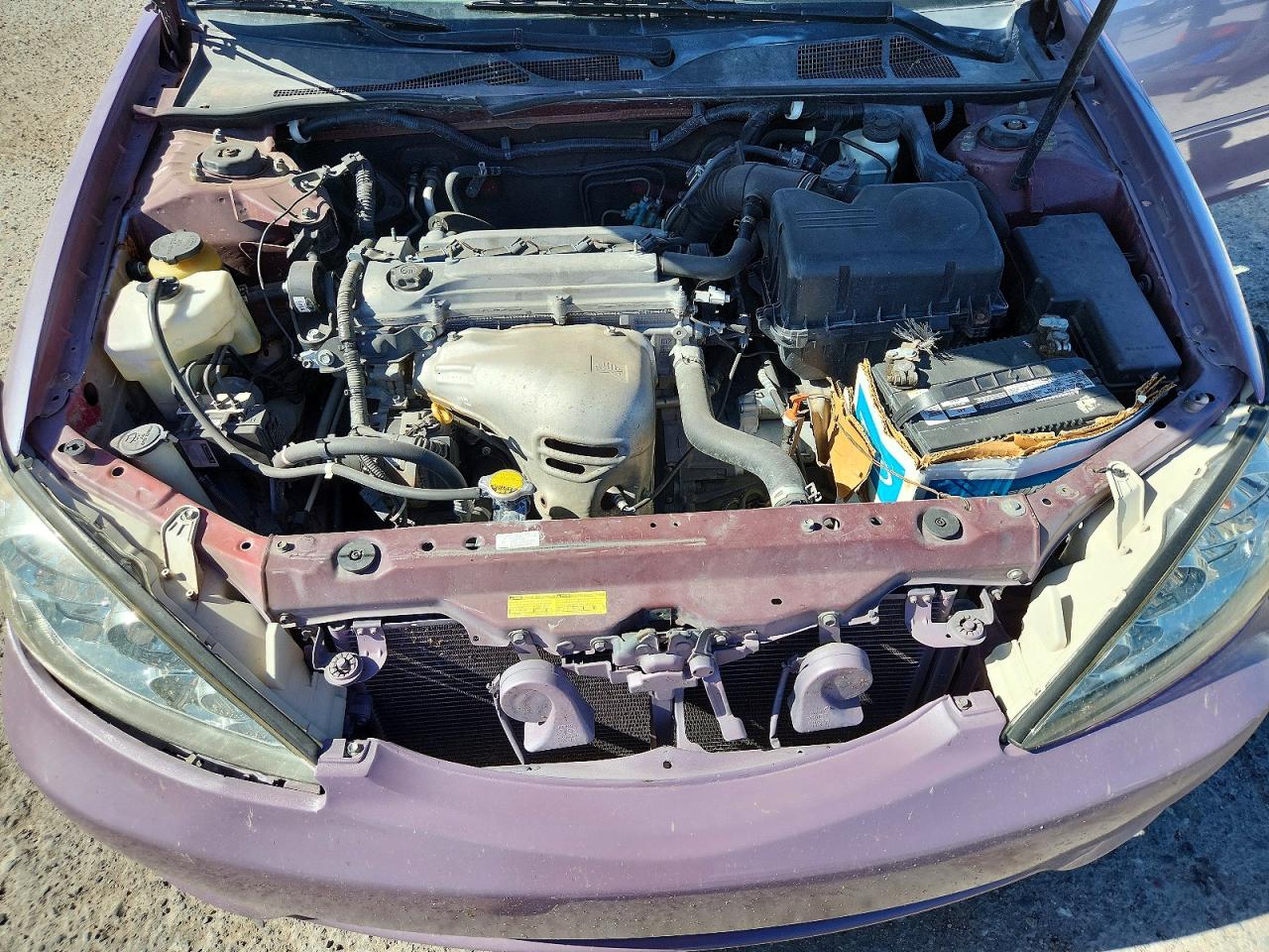 2006 Toyota Camry Le Purple vin: 4T1BE32K36U151101