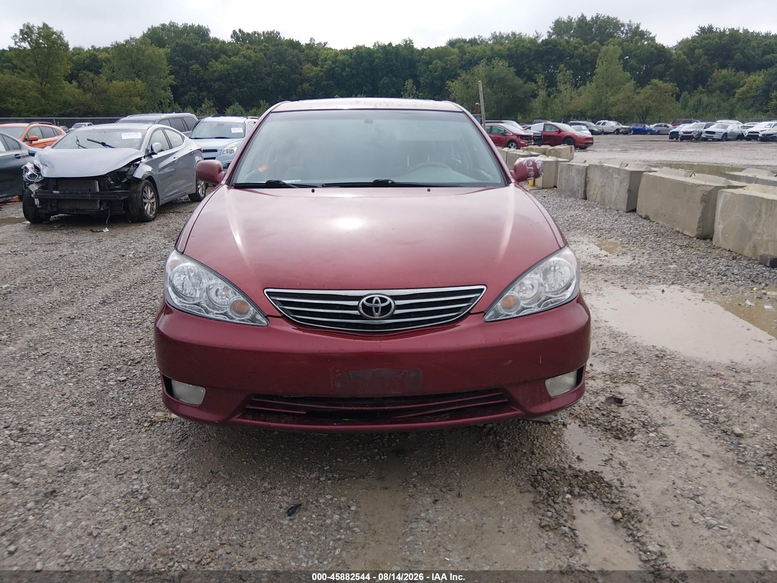 2005 Toyota Camry Xle Red vin: 4T1BE32K45U409446