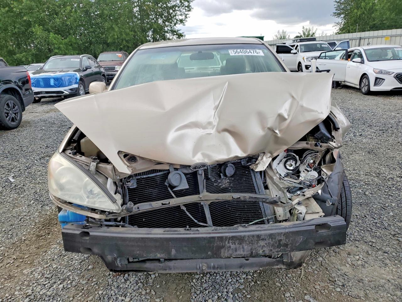 2002 Toyota Camry Le Золотой vin: 4T1BE32K82U637123