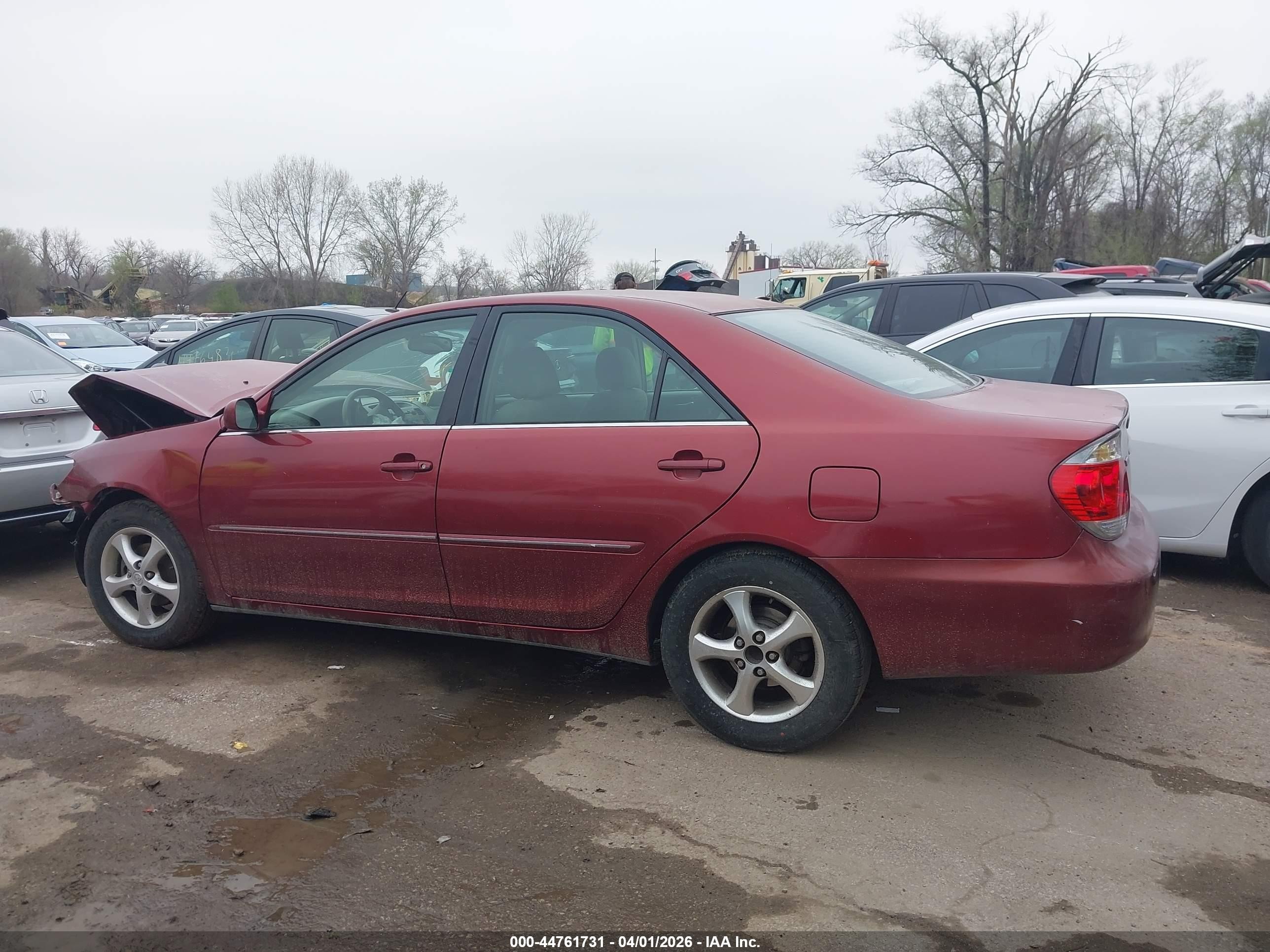2005 Toyota Camry Xle Red vin: 4T1BE32KX5U403862