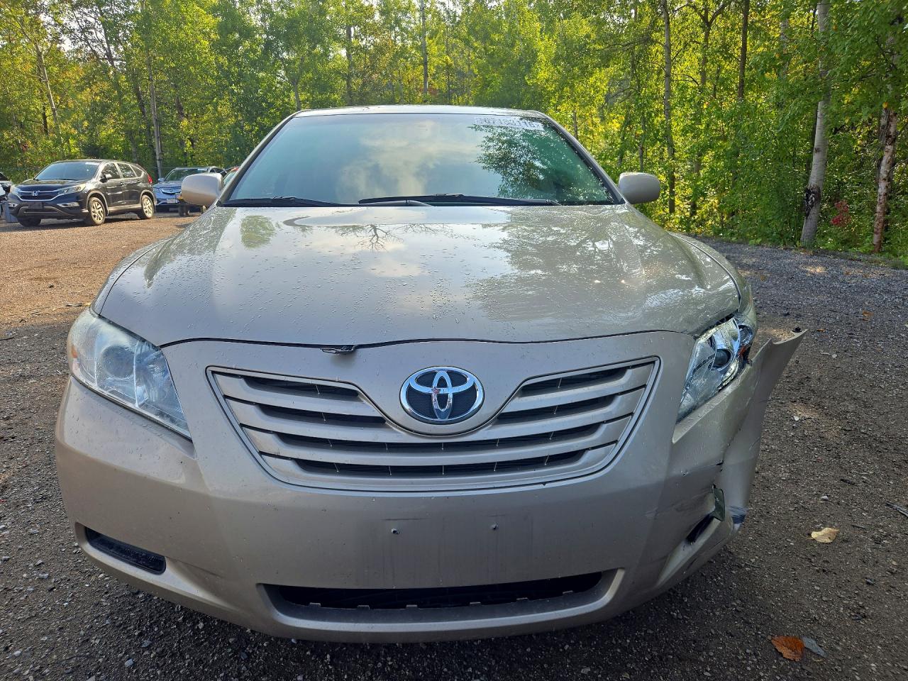 2007 Toyota Camry Ce Beige vin: 4T1BE46K07U515458