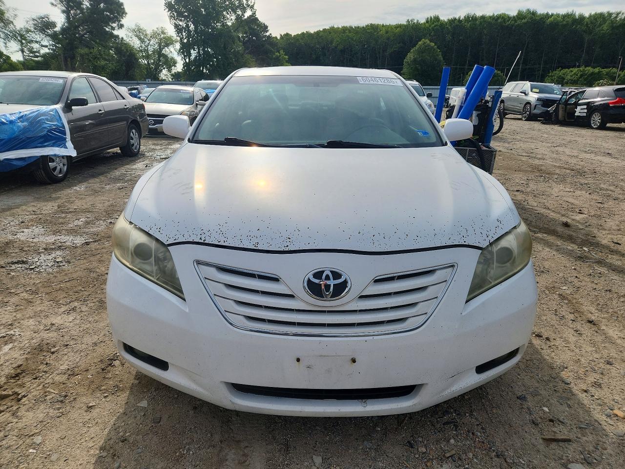 2007 Toyota Camry Xle Белый vin: 4T1BE46K07U612482