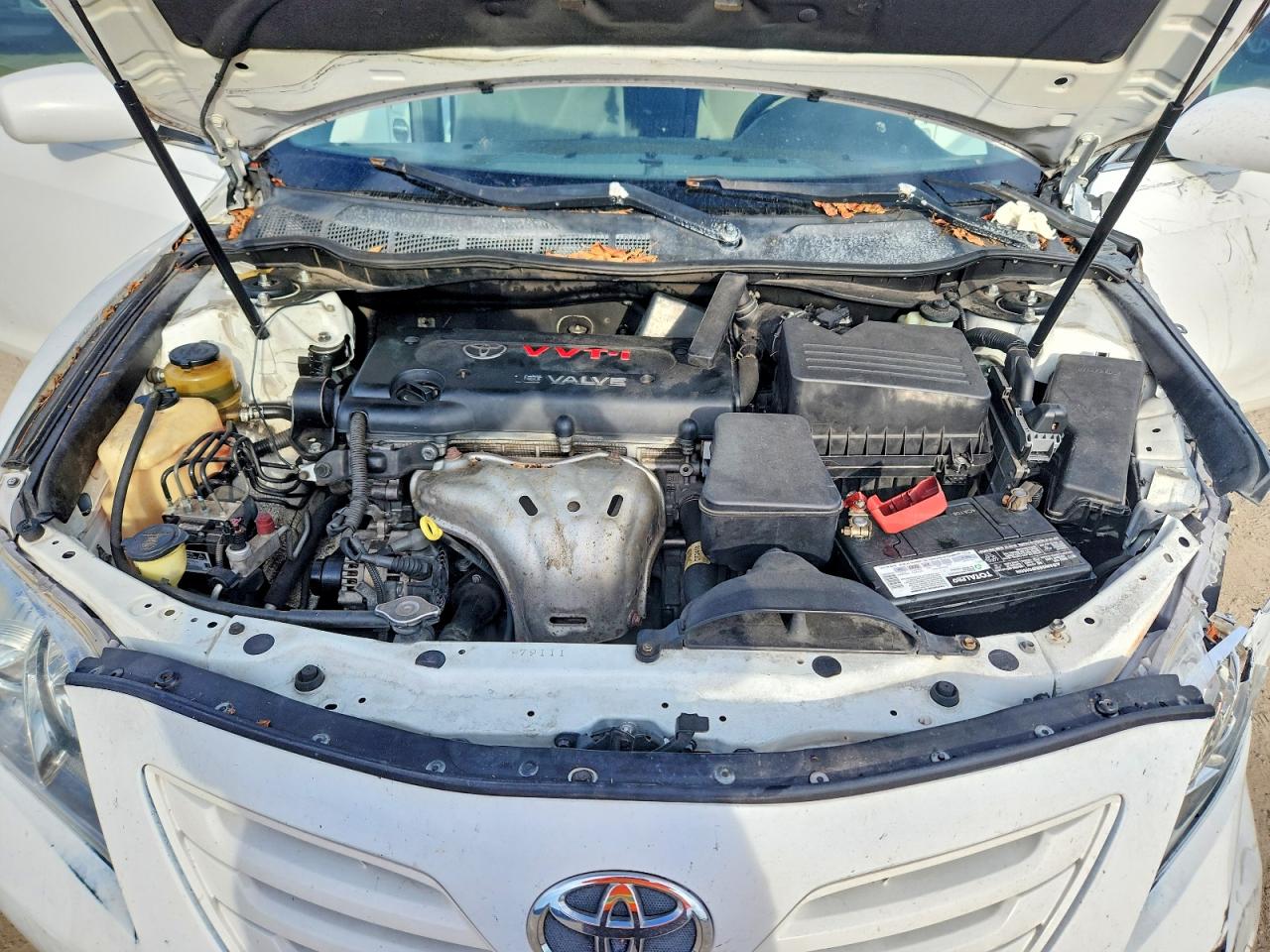 2009 Toyota Camry Le Белый vin: 4T1BE46K09U893850