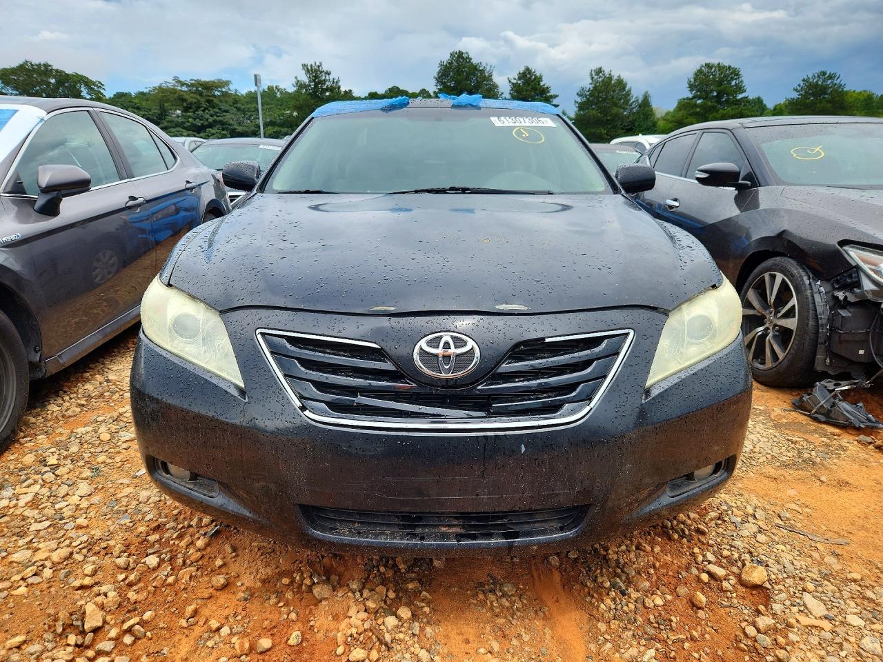 2009 Toyota Camry Xle Black vin: 4T1BE46K19U809762
