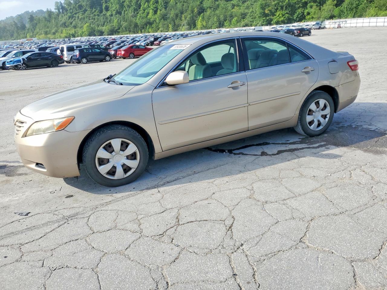 2008 Toyota Camry Le Gold vin: 4T1BE46K28U770467