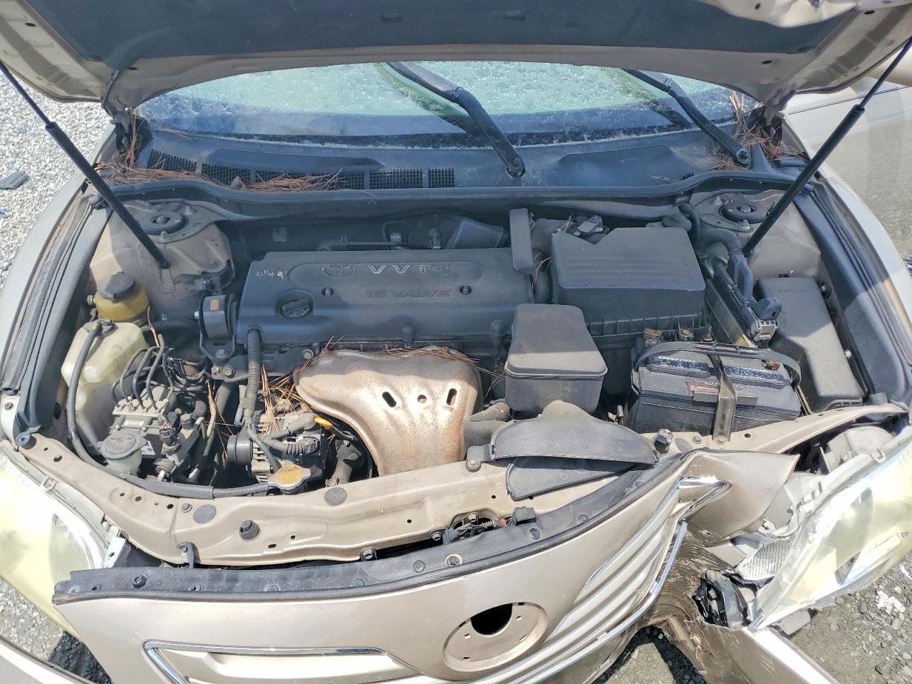 2007 Toyota Camry Xle Gold vin: 4T1BE46K47U064373