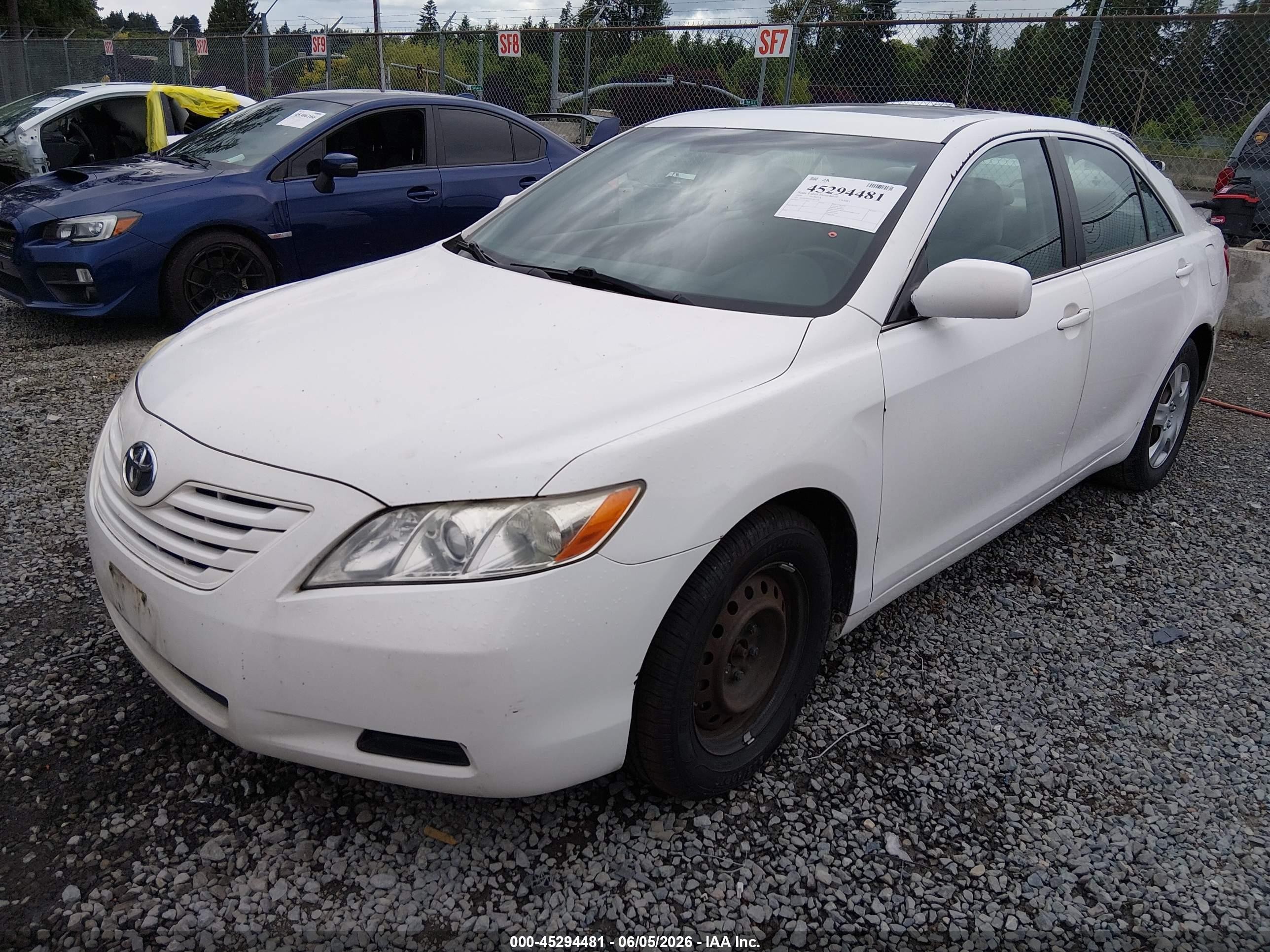 2009 Toyota Camry Le Белый vin: 4T1BE46K49U811148
