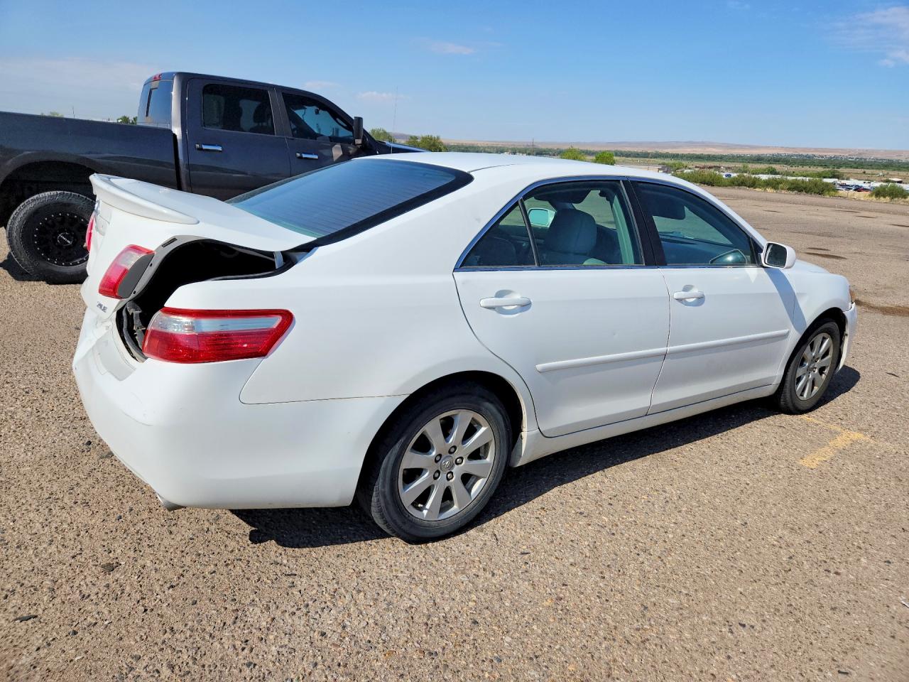 2009 Toyota Camry Xle White vin: 4T1BE46K59U892175