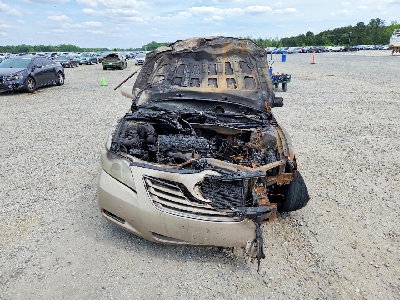 2009 Toyota Camry Xle Золотой vin: 4T1BE46K69U889186