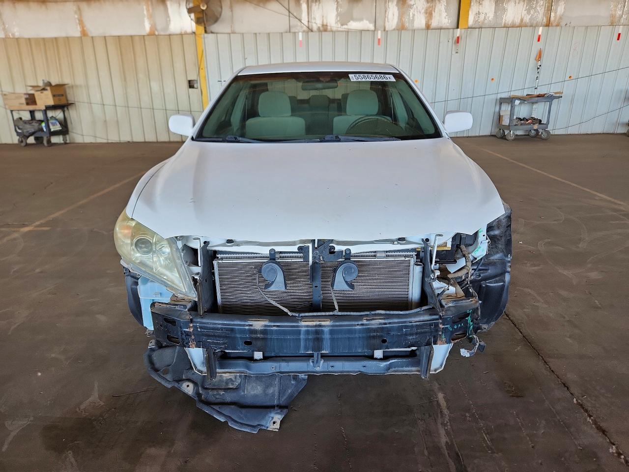 2009 Toyota Camry Le Белый vin: 4T1BE46K69U912563
