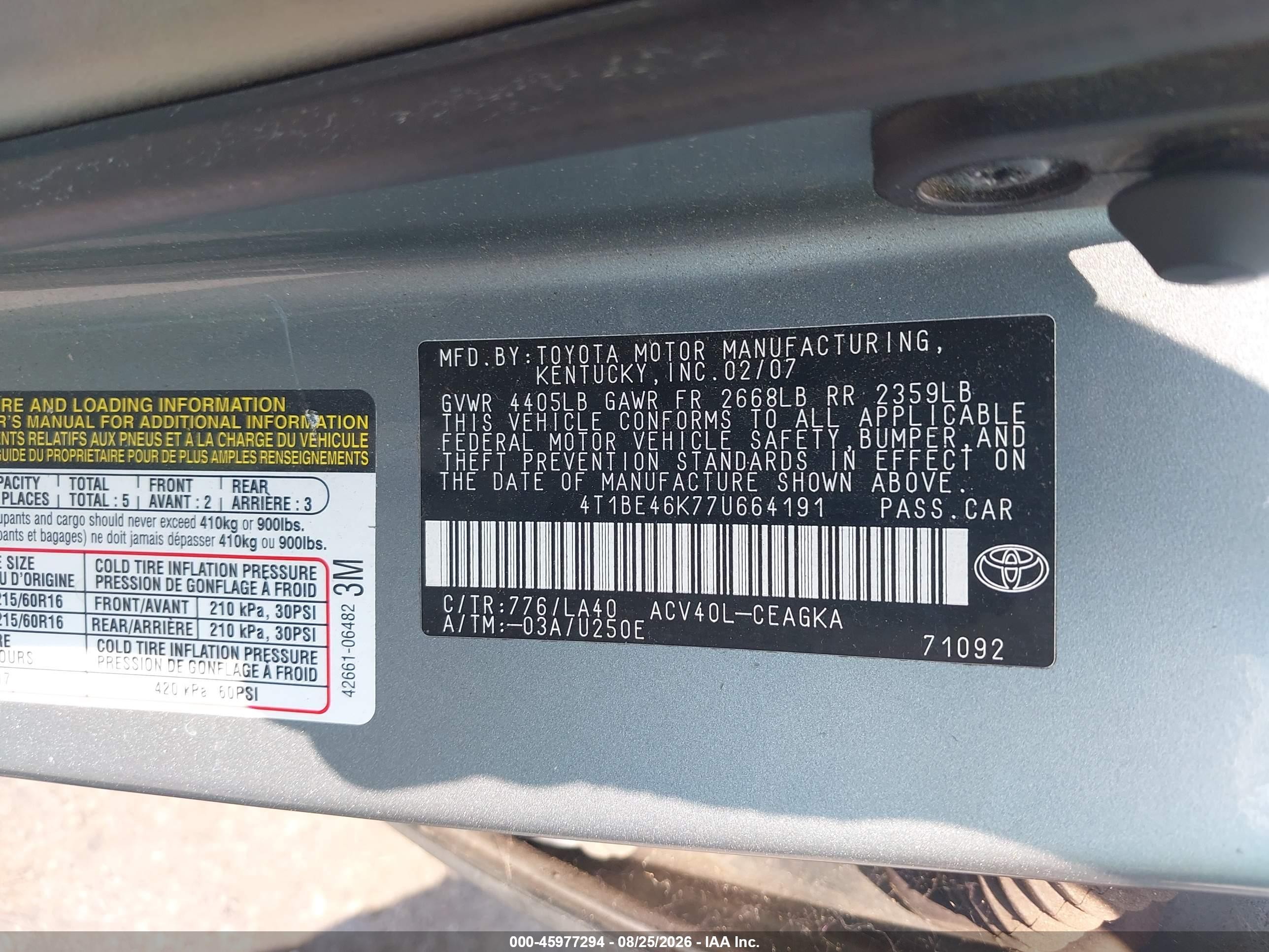2007 Toyota Camry Xle Зеленый vin: 4T1BE46K77U664191