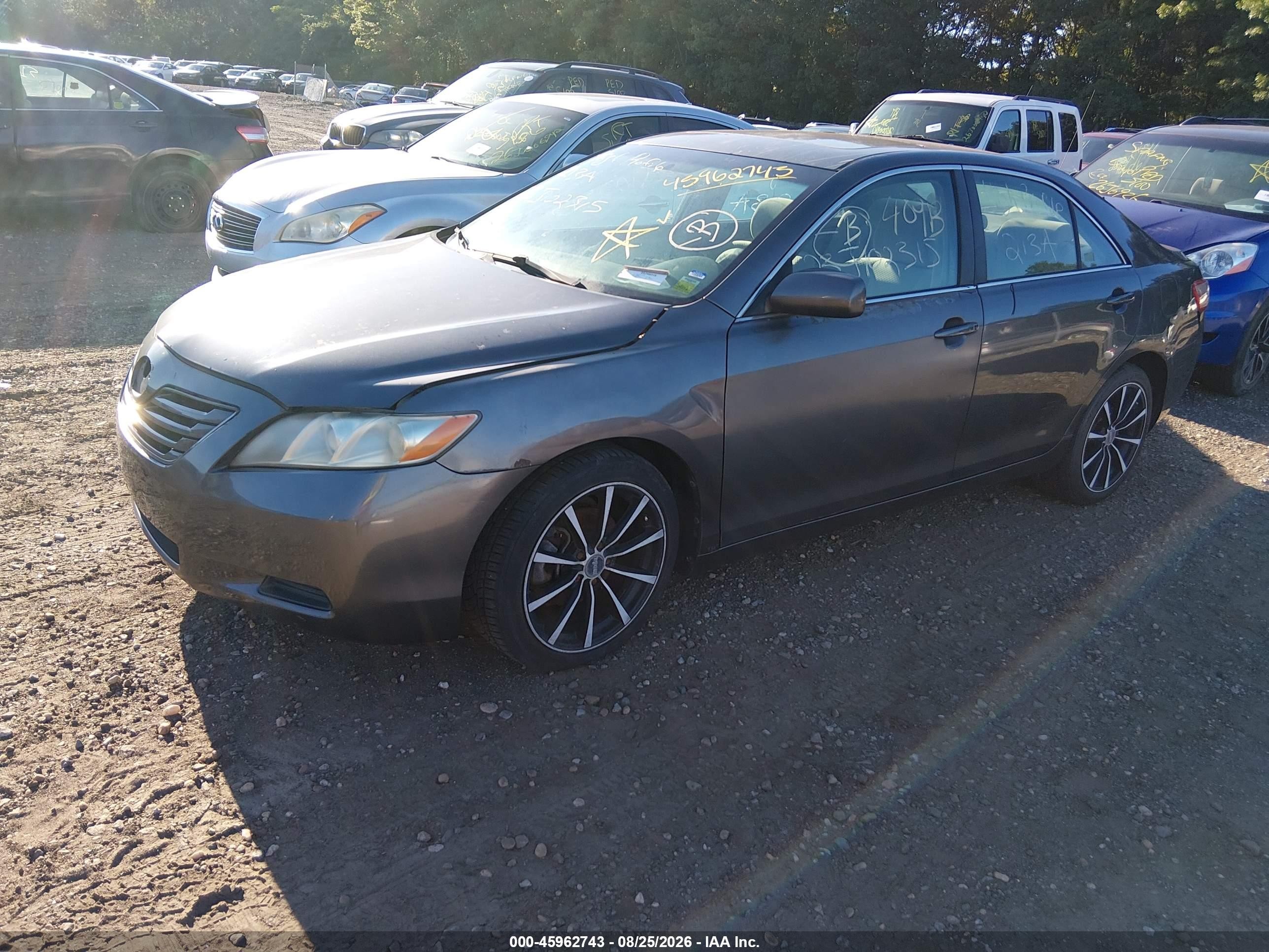 2009 Toyota Camry Le Серый vin: 4T1BE46K89U840622