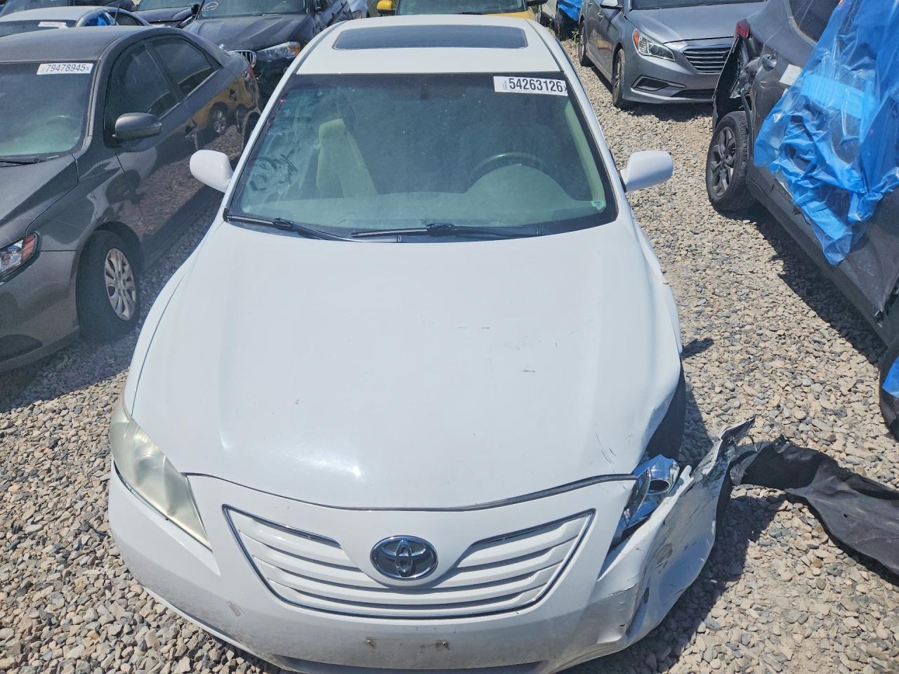 2007 Toyota Camry Xle White vin: 4T1BE46KX7U646980