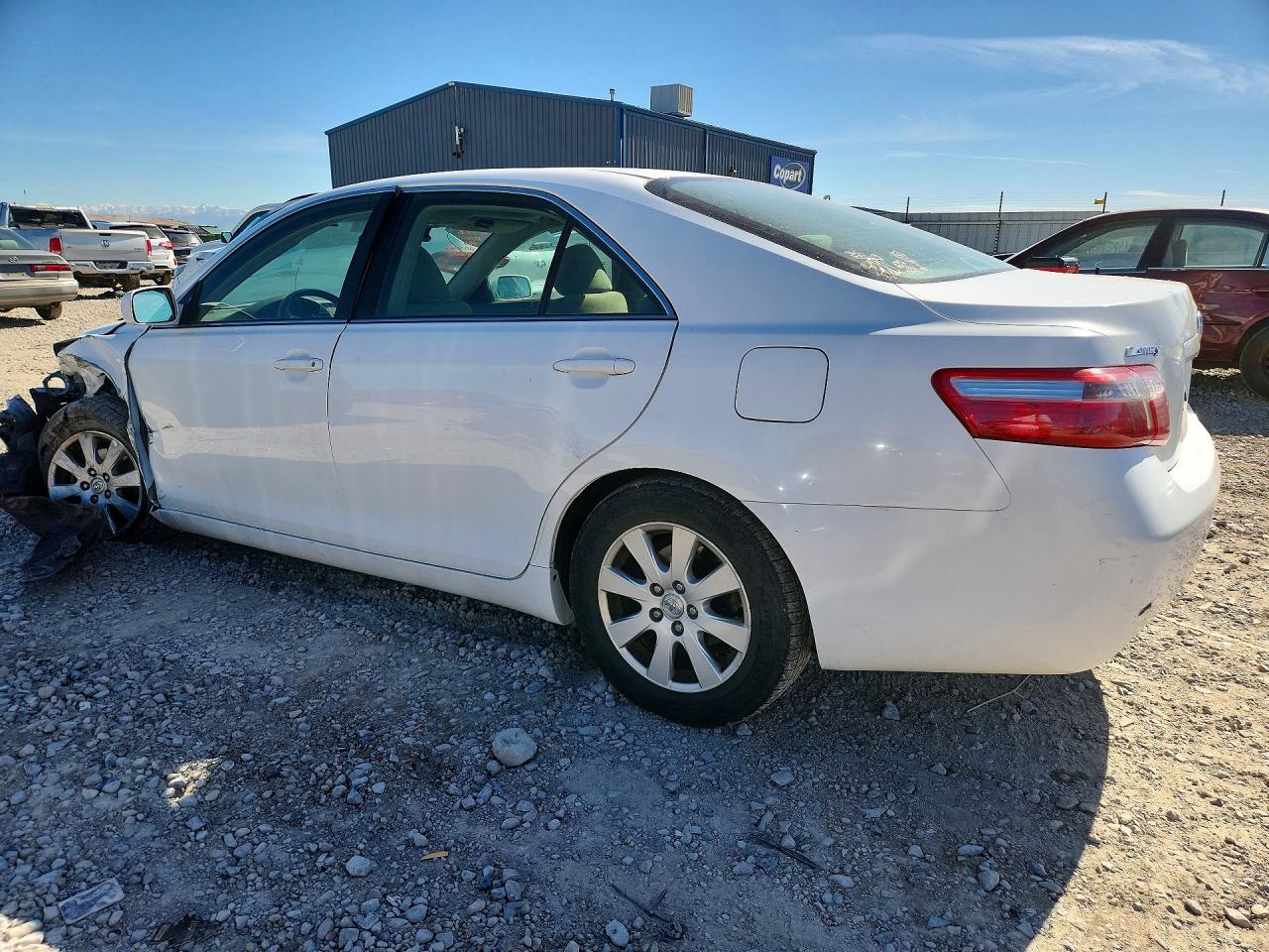2007 Toyota Camry Xle White vin: 4T1BE46KX7U646980