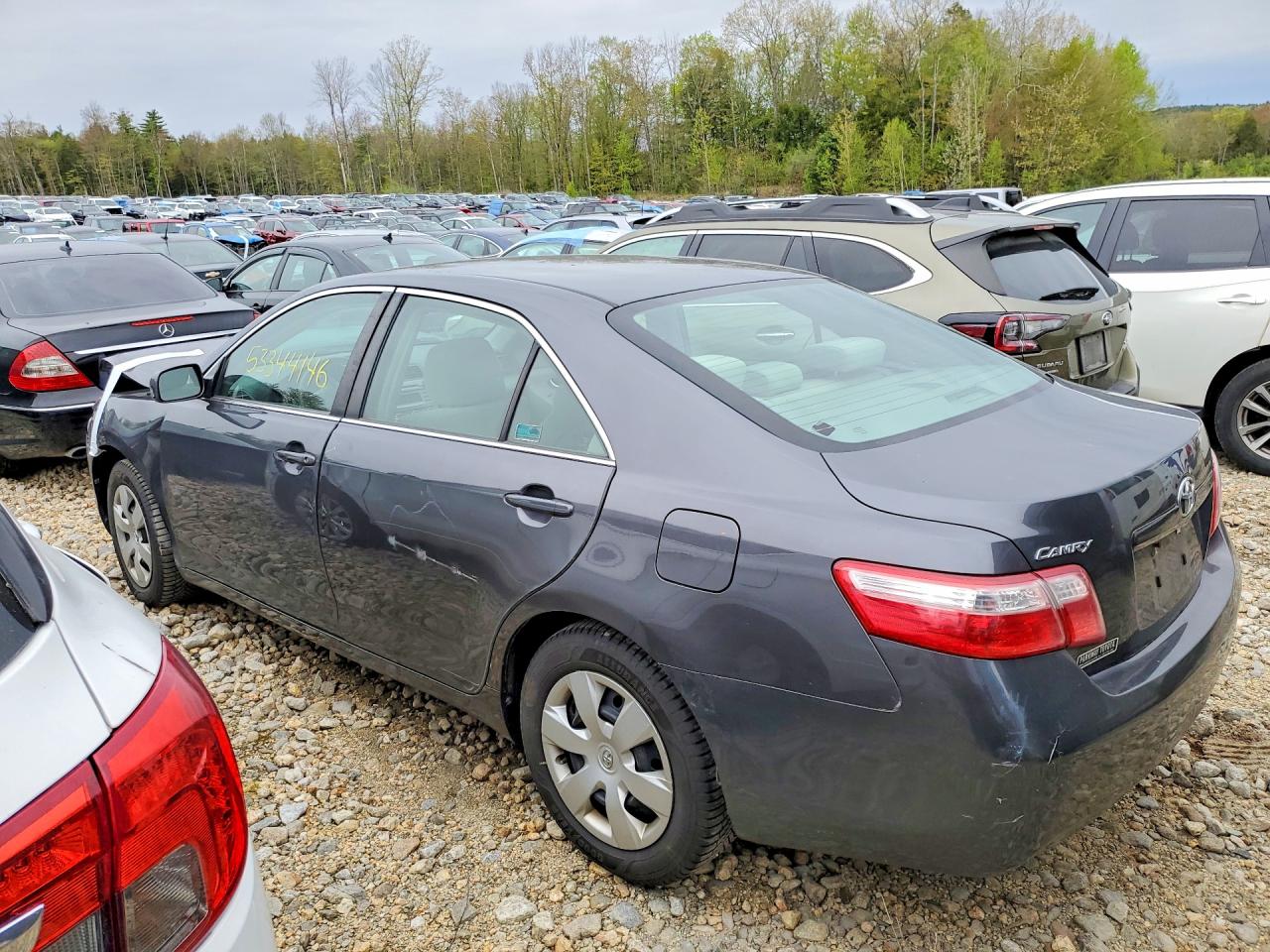 2009 Toyota Camry Le Gray vin: 4T1BE46KX9U388978