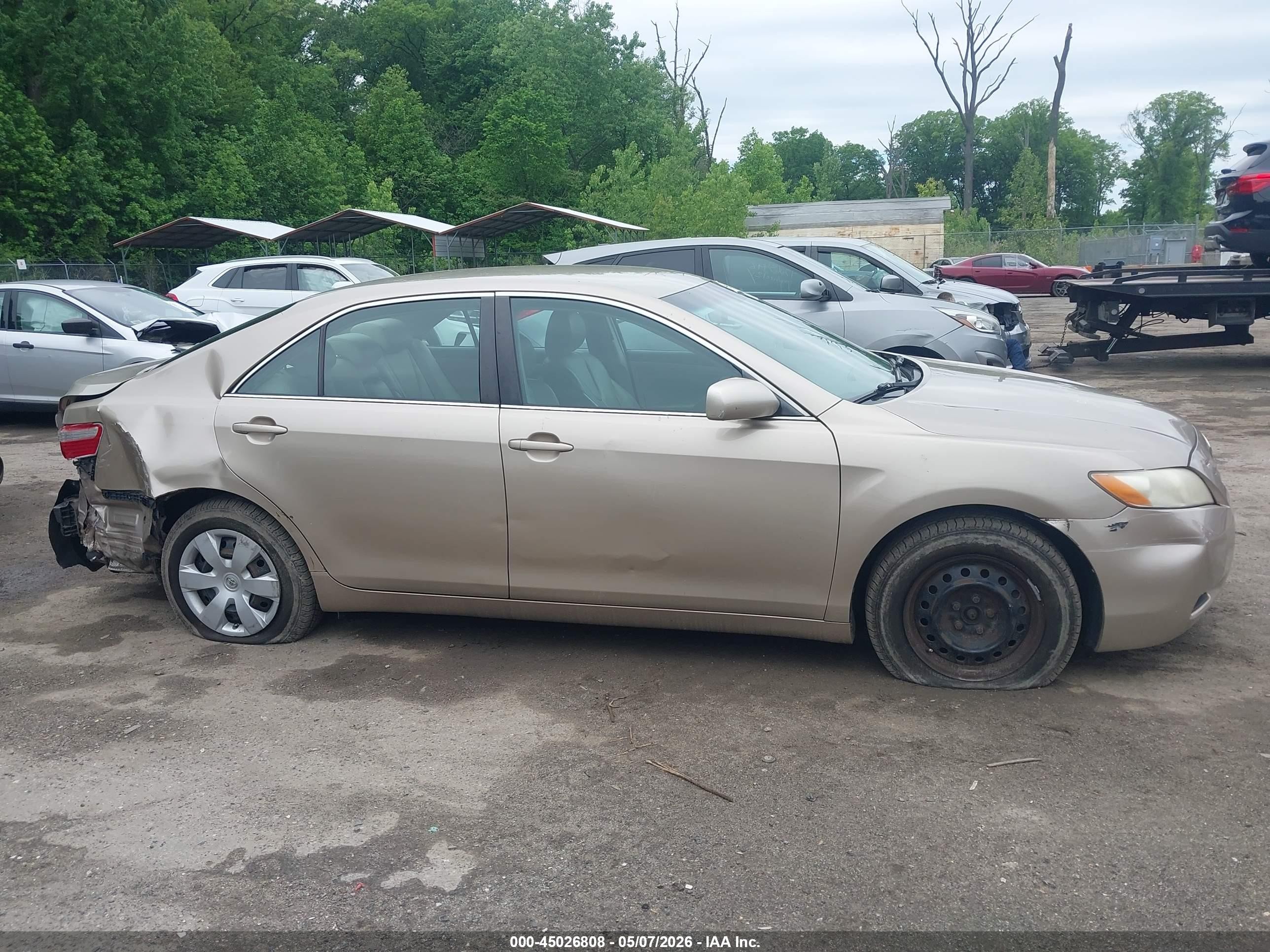 2009 Toyota Camry Le Gold vin: 4T1BE46KX9U408307