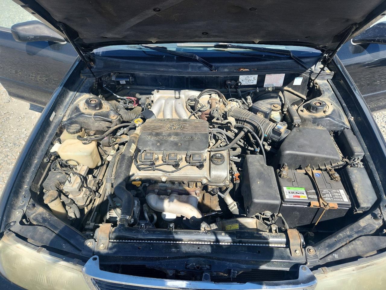 1996 Toyota Avalon Xls Black vin: 4T1BF12B1TU074385