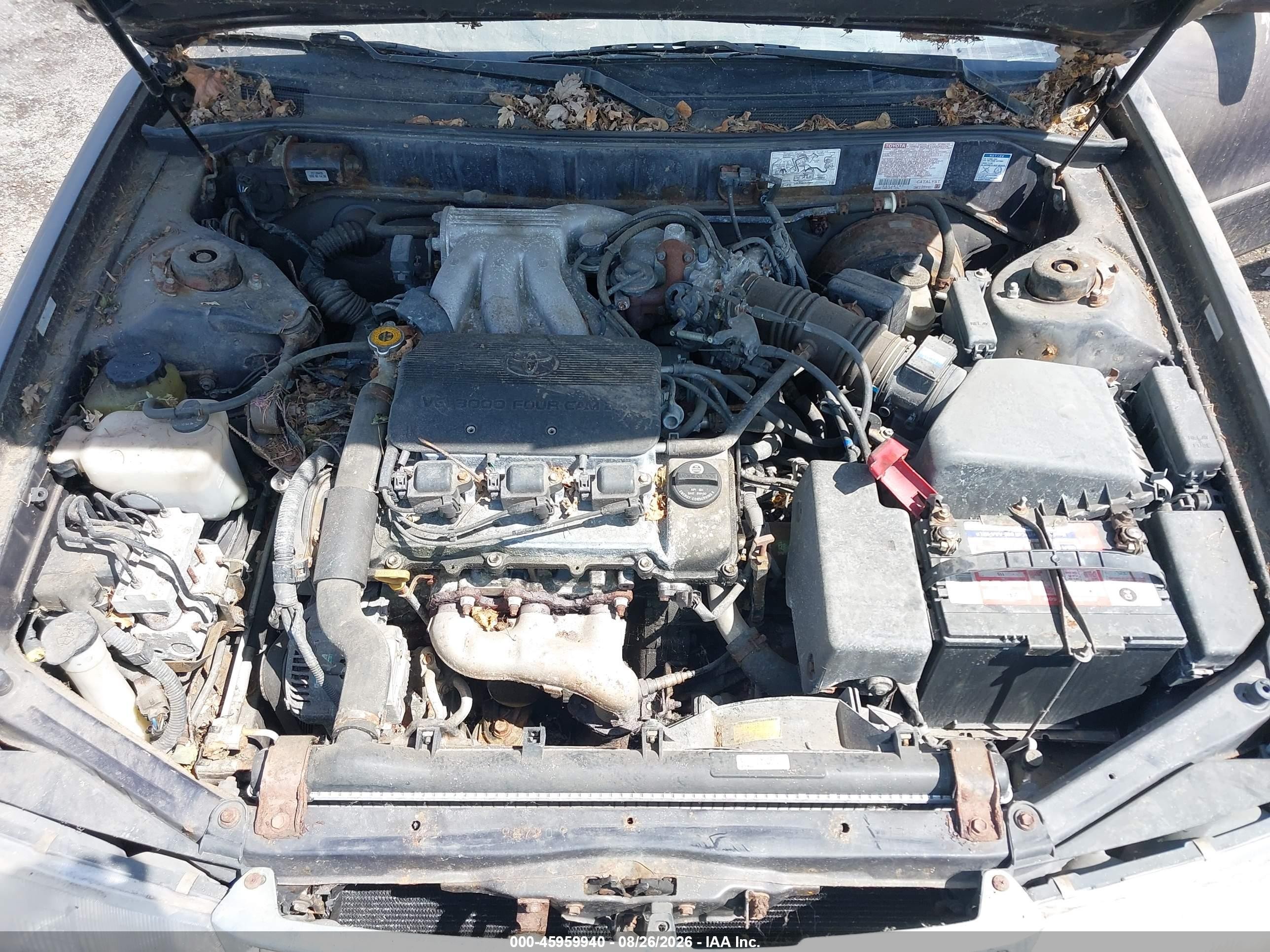 1996 Toyota Avalon Xl/xls Фиолетовый vin: 4T1BF12B3TU095500