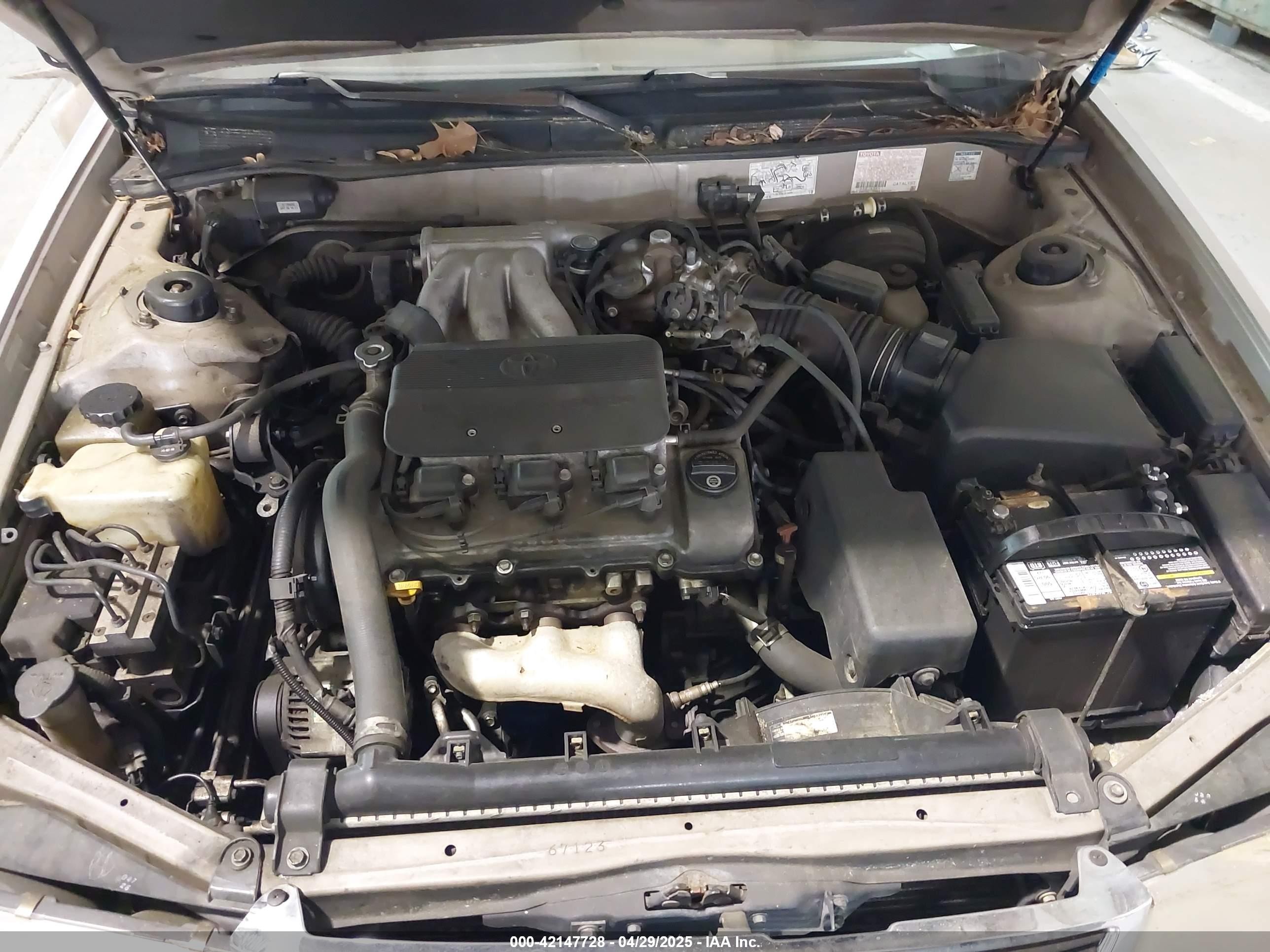 1996 Toyota Avalon Xl/xls Бежевый vin: 4T1BF12B8TU103588