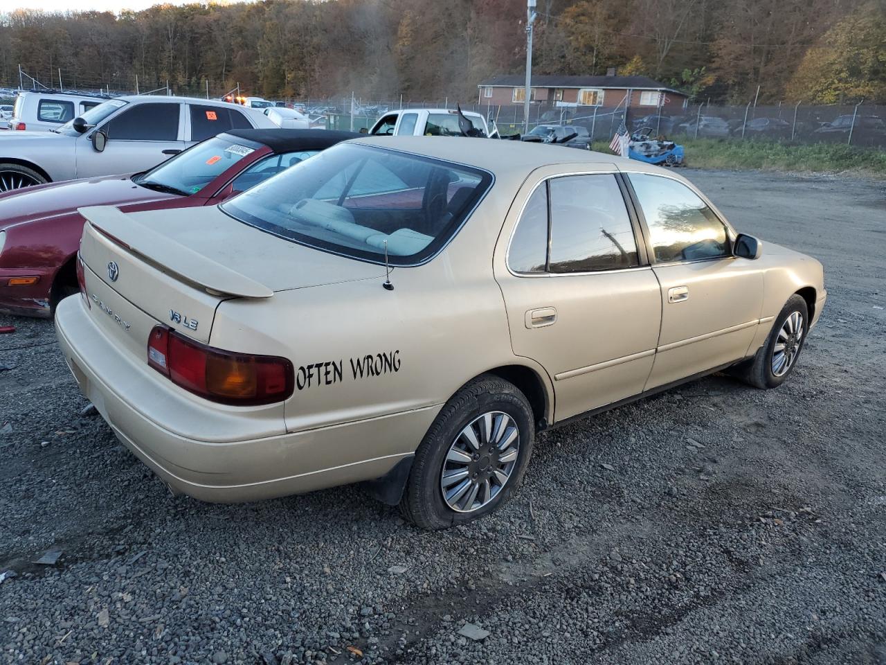1996 Toyota Camry Le Gold vin: 4T1BF12KXTU127570
