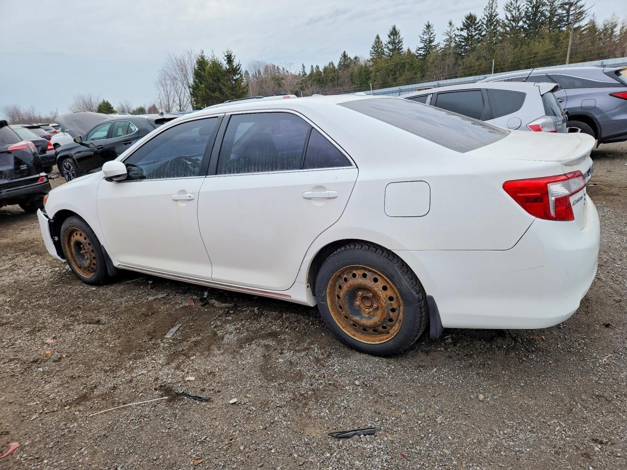 2012 Toyota Camry Xle White vin: 4T1BF1FK6CU567733
