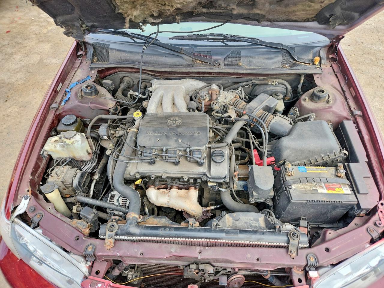 2000 Toyota Camry Le V6 Красный vin: 4T1BF22KXYU940002