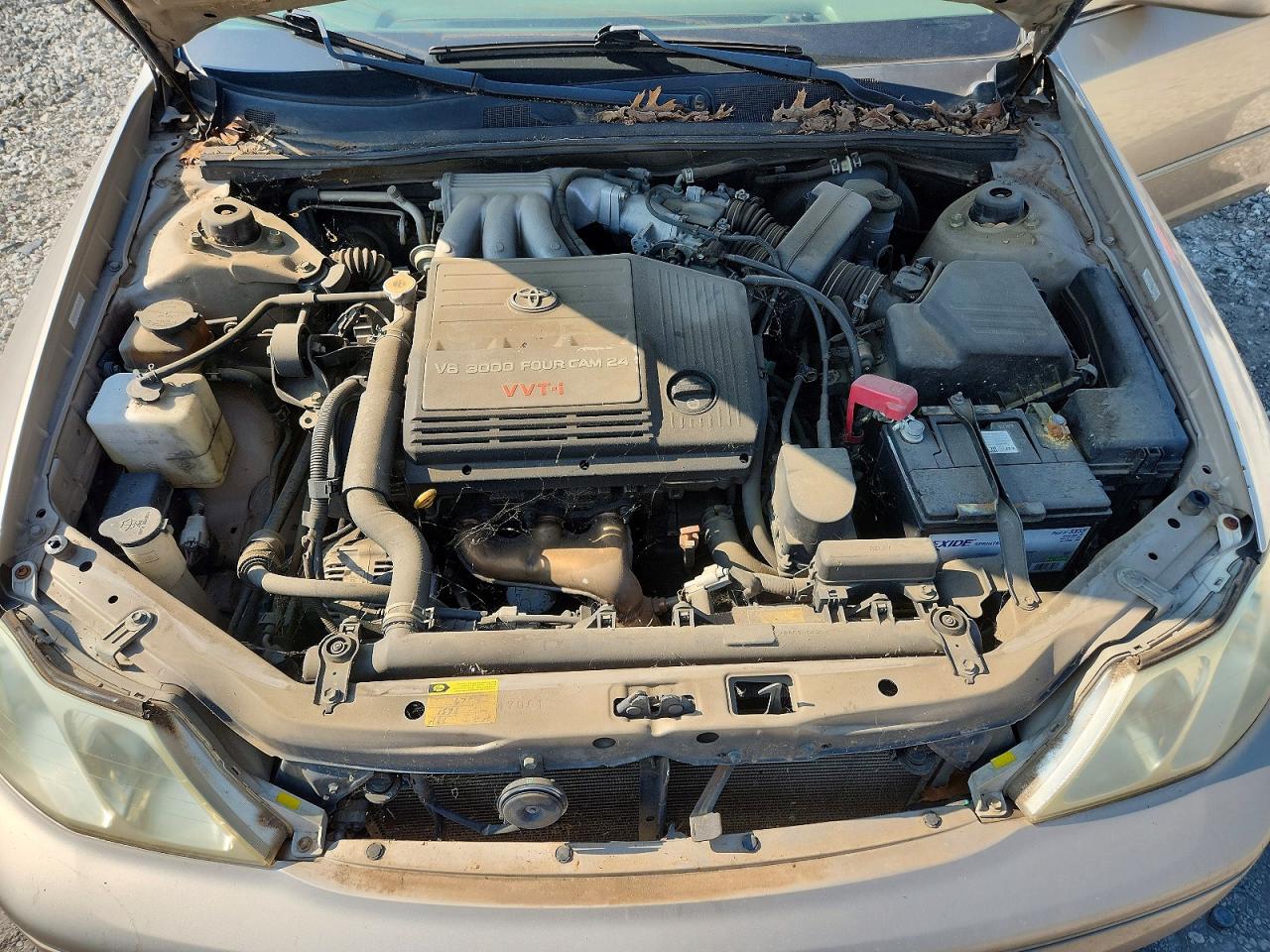 2003 Toyota Avalon Xls Gold vin: 4T1BF28B13U289732