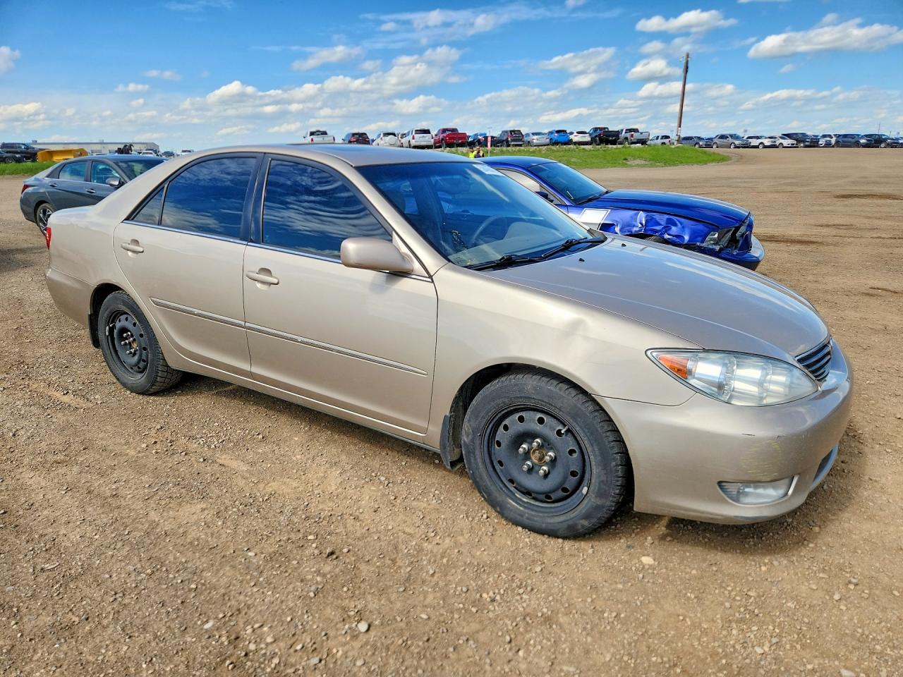 2005 Toyota Camry Le V6 Gold vin: 4T1BF30K55U098061