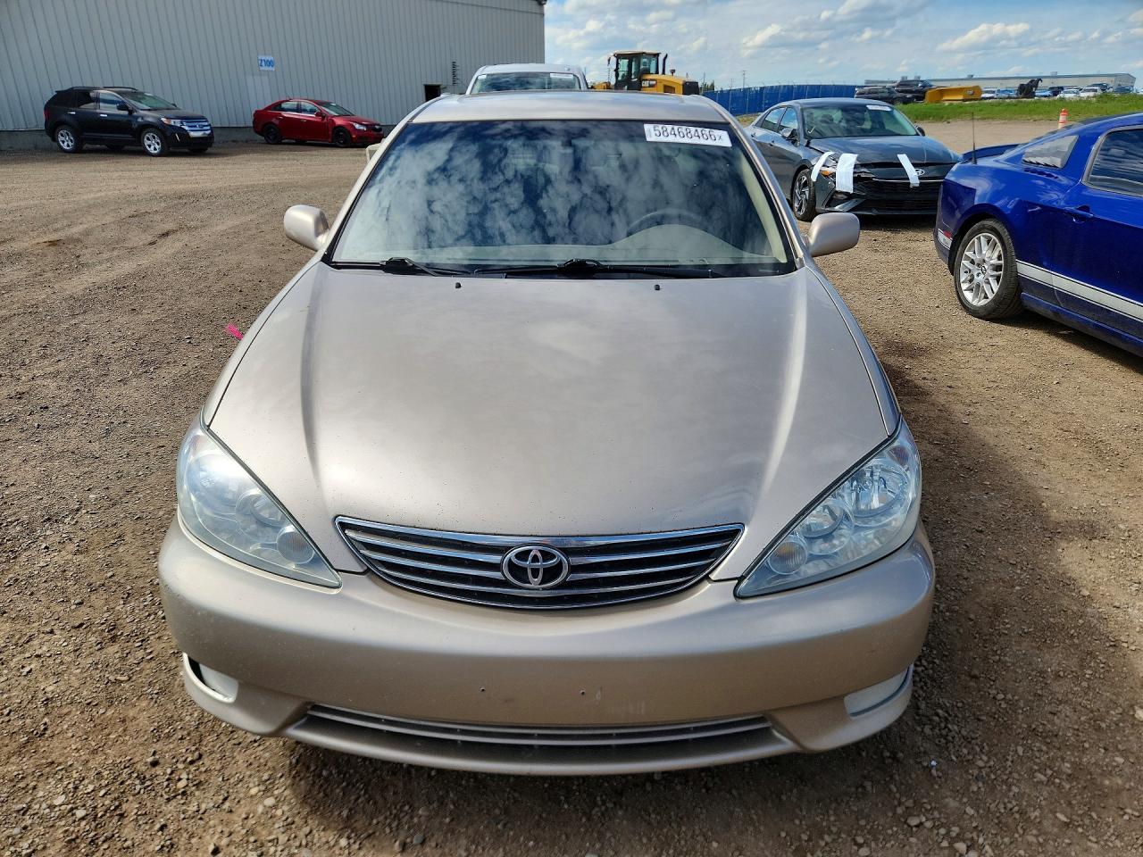 2005 Toyota Camry Le V6 Gold vin: 4T1BF30K55U098061
