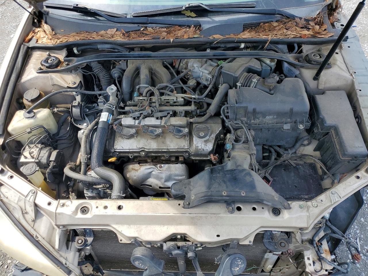 2003 Toyota Camry Xle V6 Gold vin: 4T1BF32KX3U556722
