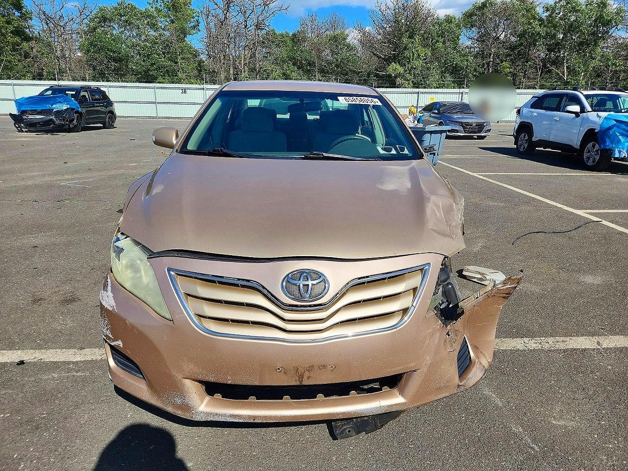 2010 Toyota Camry Le Beige vin: 4T1BF3EK0AU054486