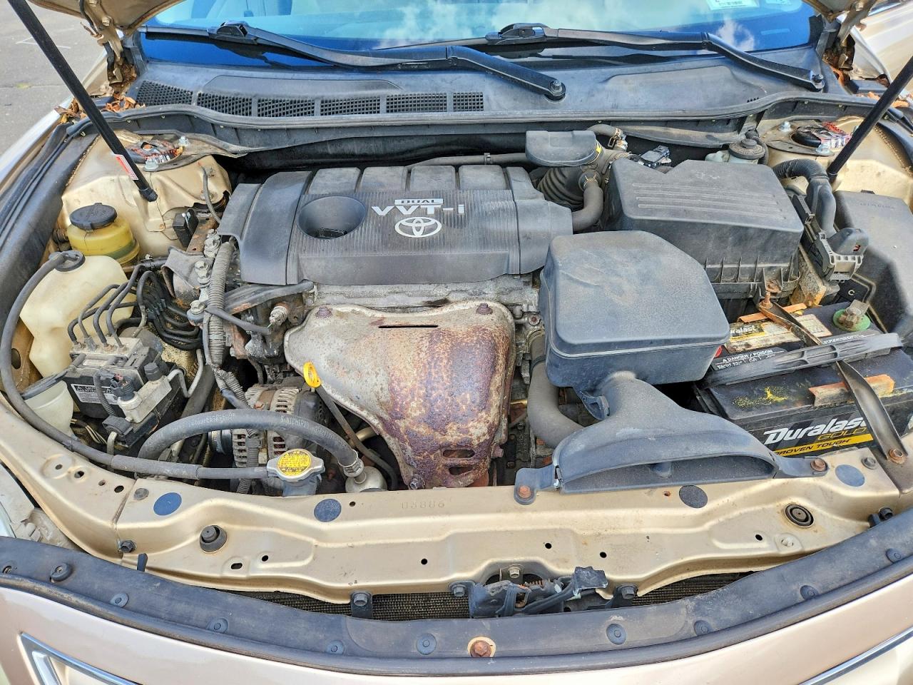 2010 Toyota Camry Le Beige vin: 4T1BF3EK0AU054486
