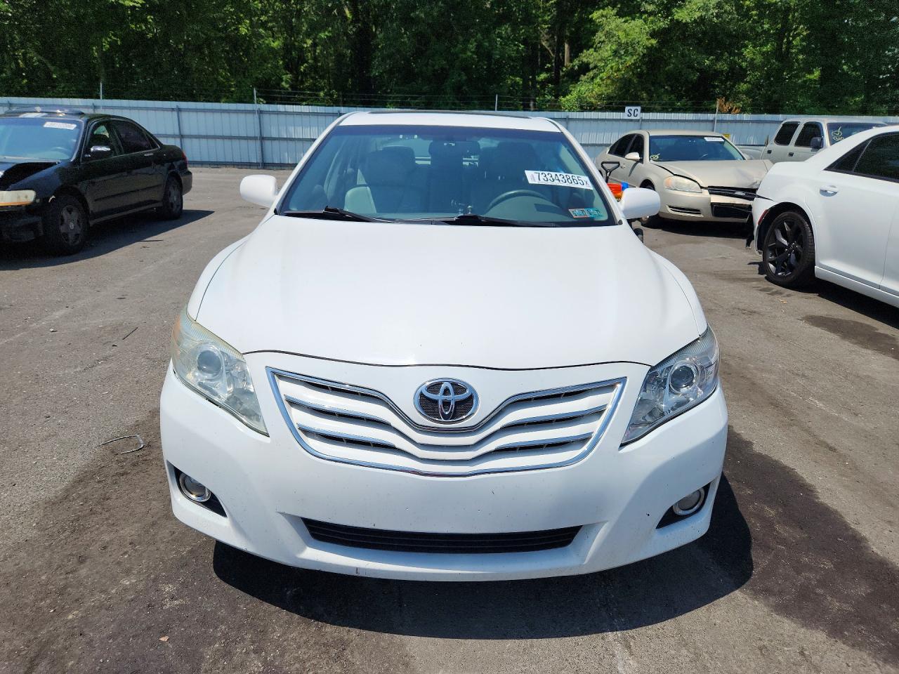 2011 Toyota Camry Xle Белый vin: 4T1BF3EK0BU642373