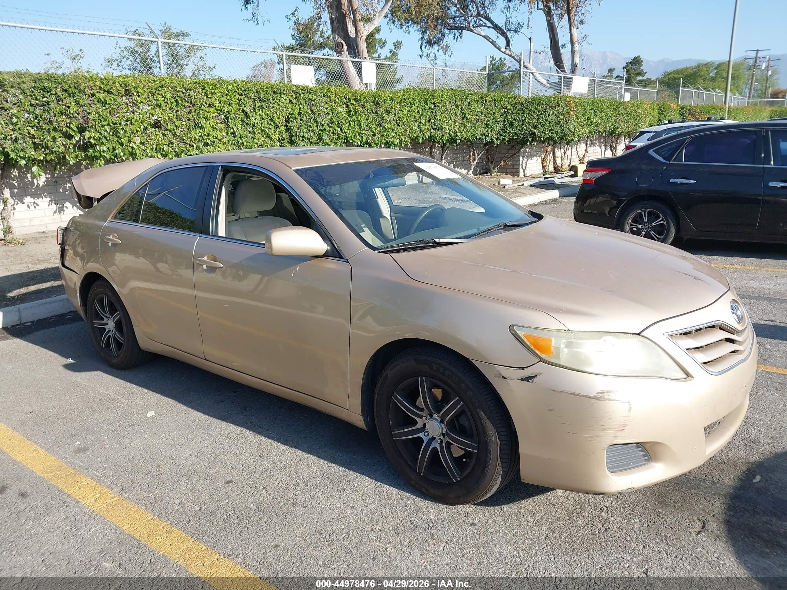 2010 Toyota Camry Le Gold vin: 4T1BF3EK1AU086184