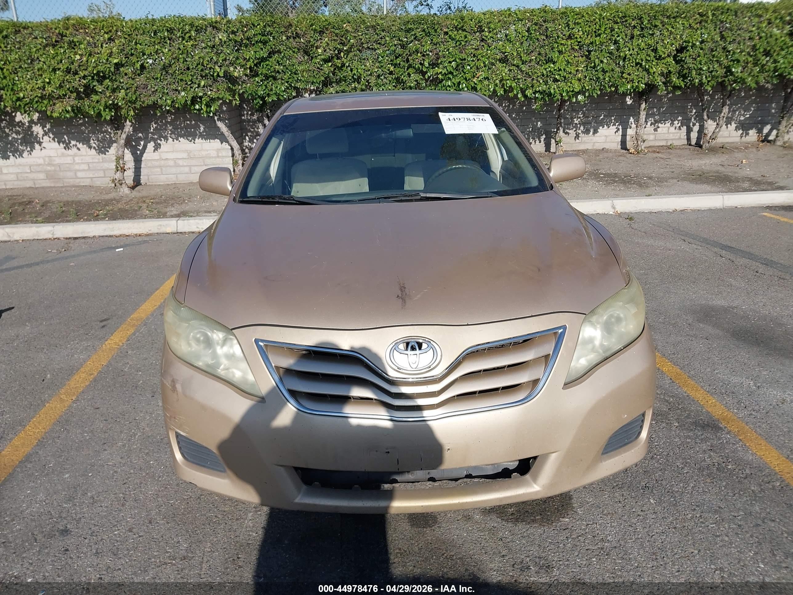 2010 Toyota Camry Le Gold vin: 4T1BF3EK1AU086184