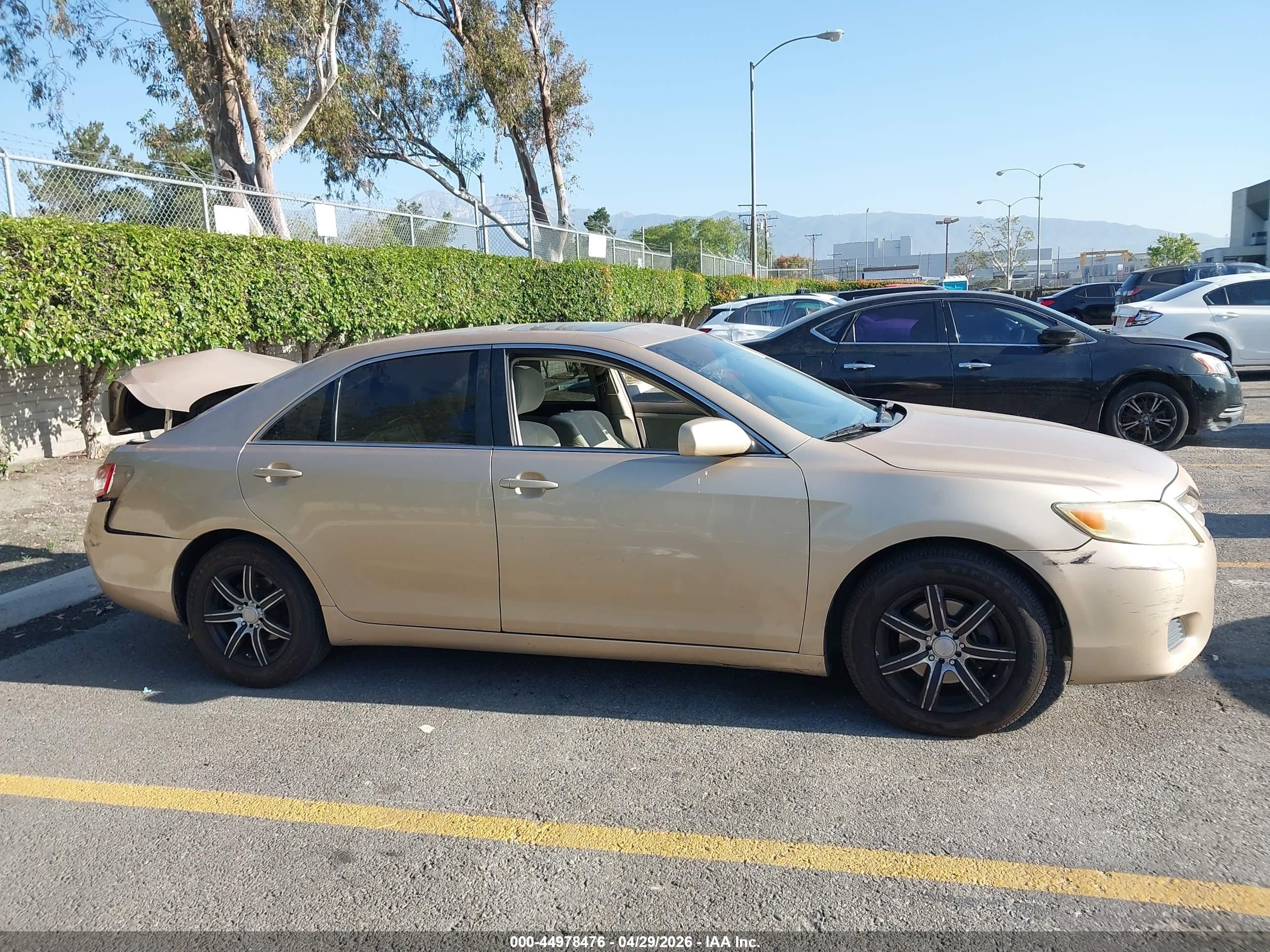 2010 Toyota Camry Le Gold vin: 4T1BF3EK1AU086184