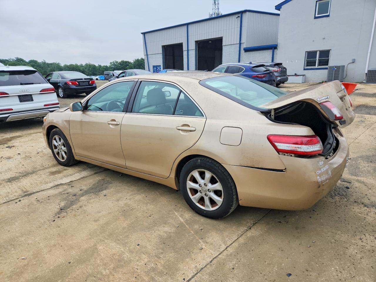 2011 Toyota Camry Le Gold vin: 4T1BF3EK2BU637546