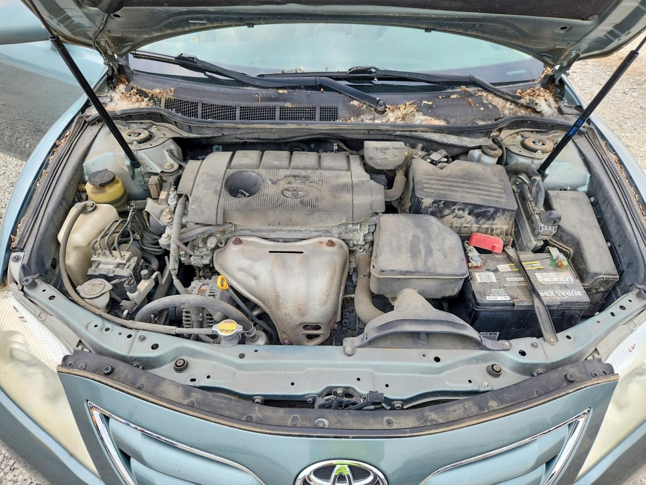 2011 Toyota Camry Le Turquoise vin: 4T1BF3EK2BU716957