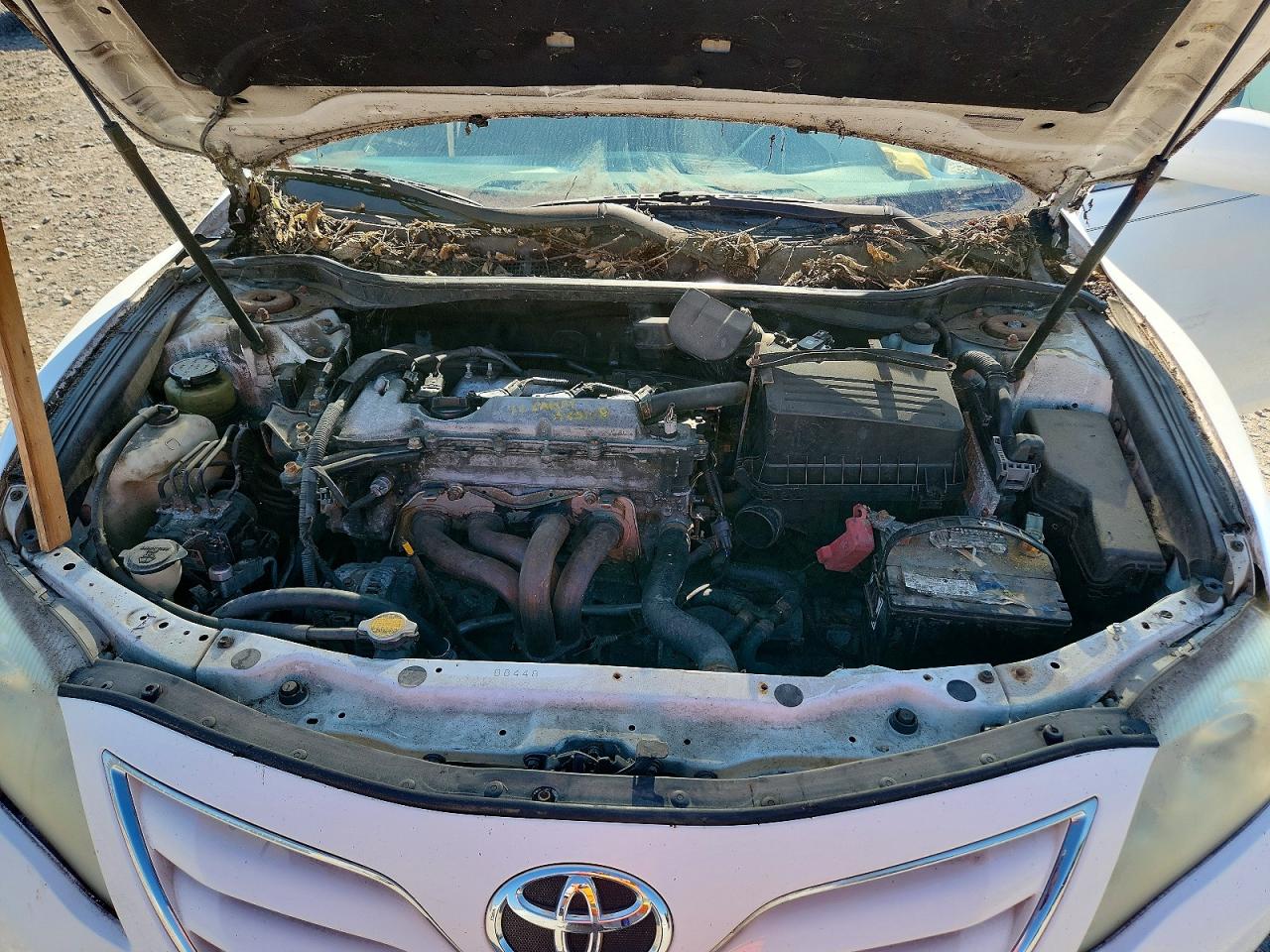 2010 Toyota Camry Le Белый vin: 4T1BF3EK4AU564873