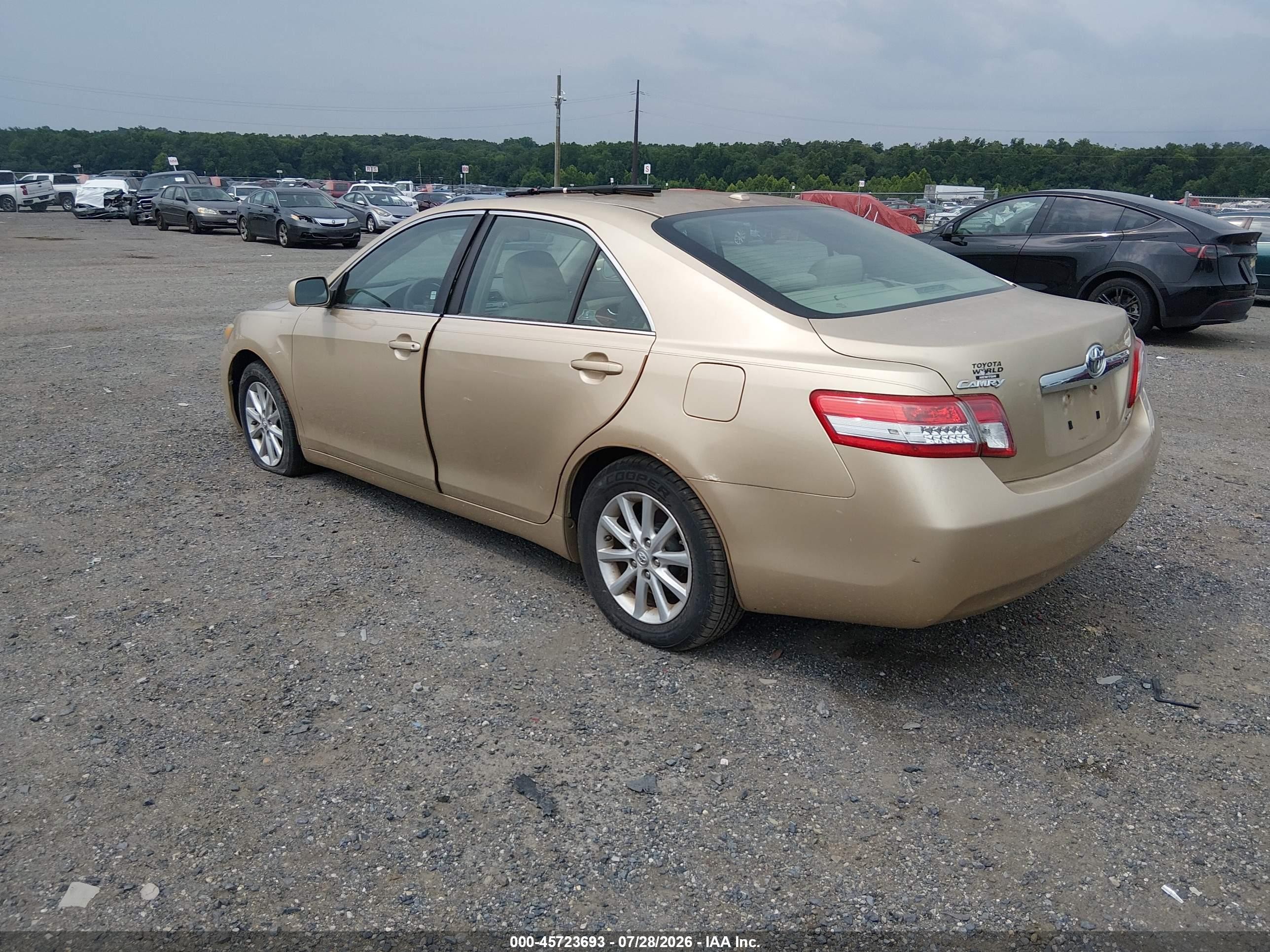 2011 Toyota Camry Xle Champagne vin: 4T1BF3EK4BU157329