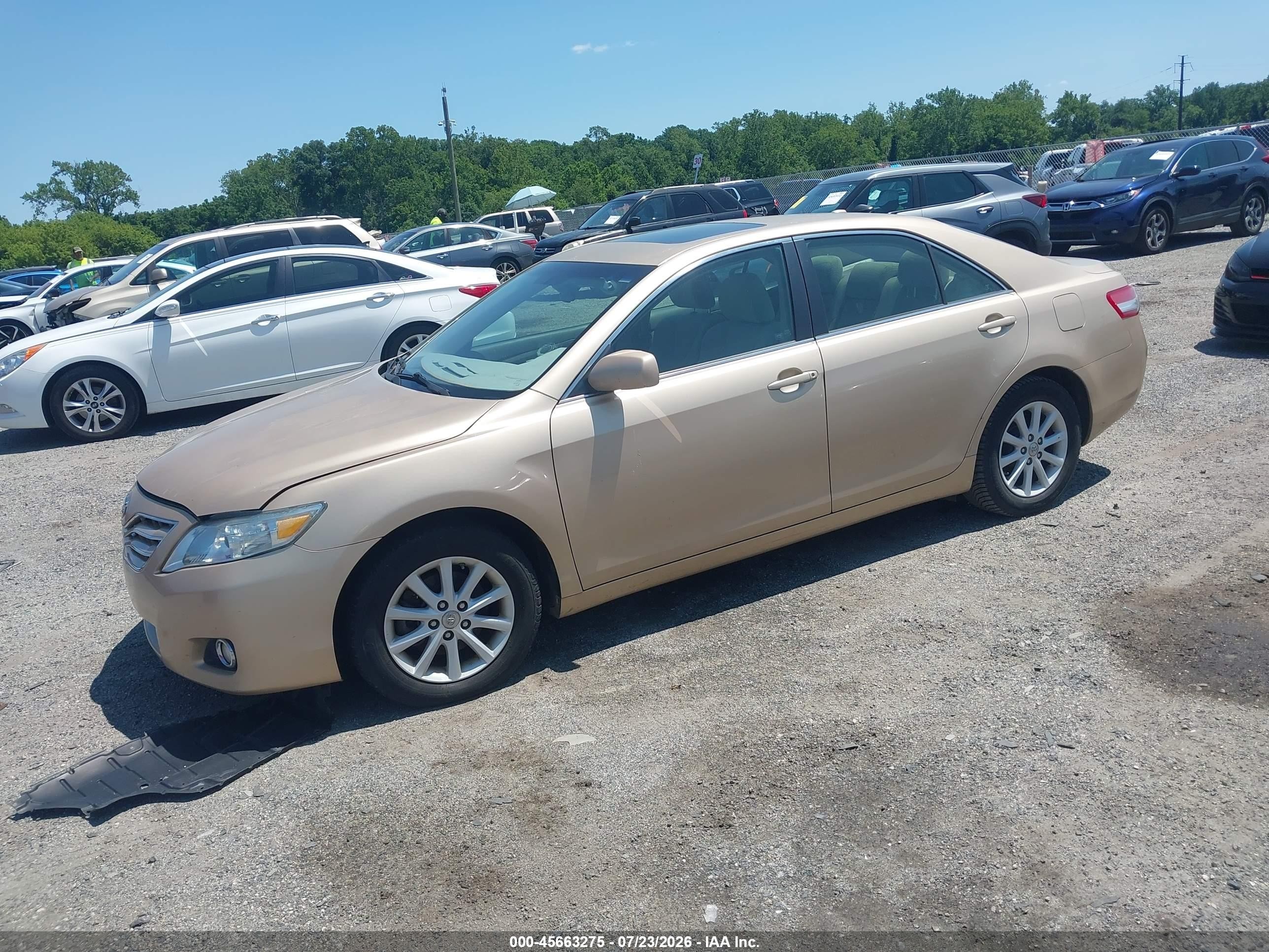 2010 Toyota Camry Xle Beige vin: 4T1BF3EK6AU535049