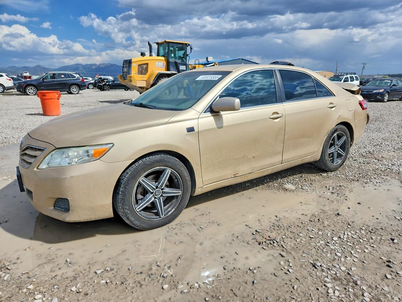 2011 Toyota Camry Le Gold vin: 4T1BF3EK6BU195659