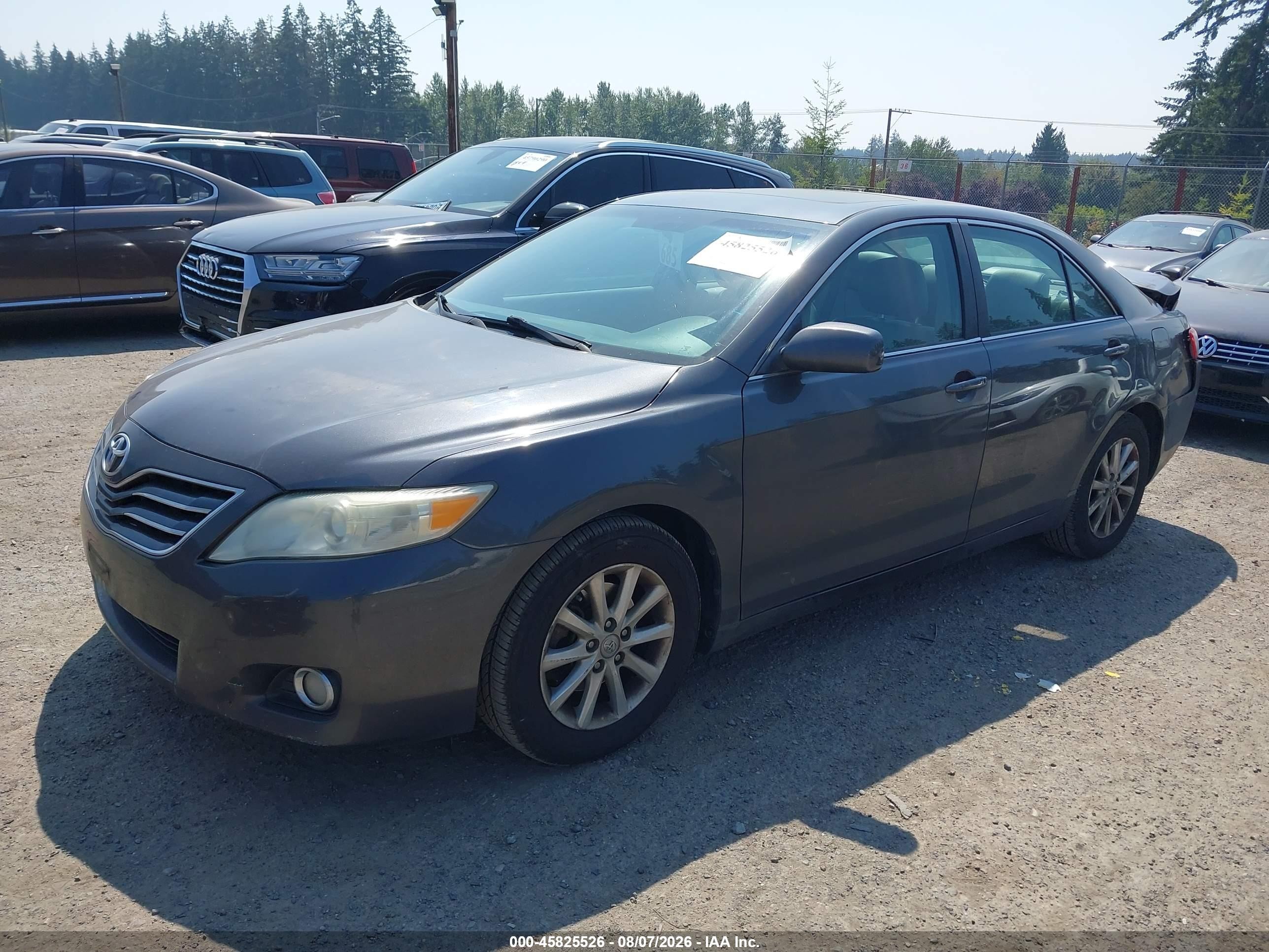 2011 Toyota Camry Xle Silver vin: 4T1BF3EK8BU120168