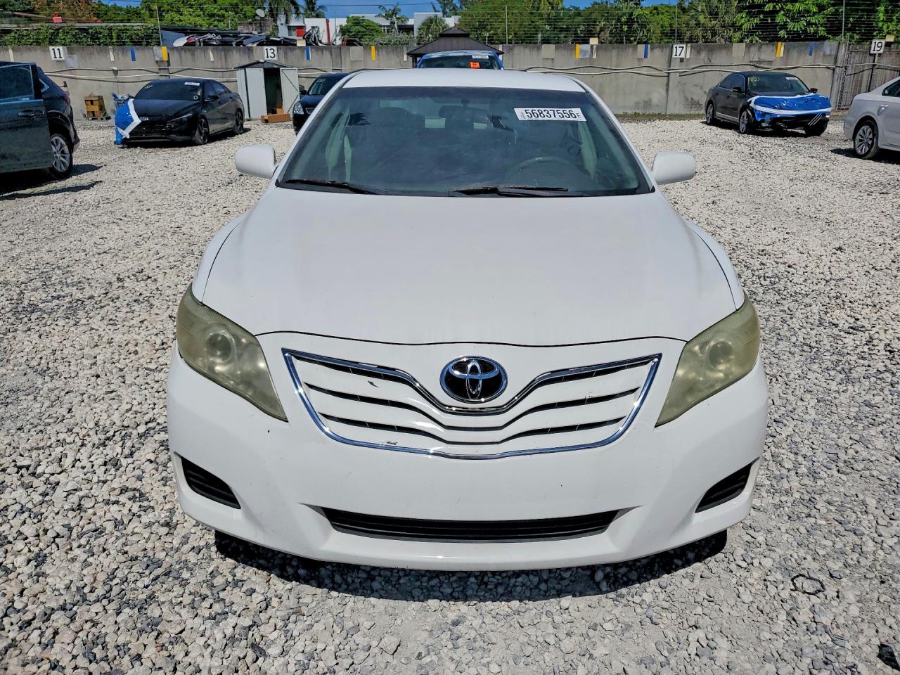 2011 Toyota Camry Le White vin: 4T1BF3EK9BU611252