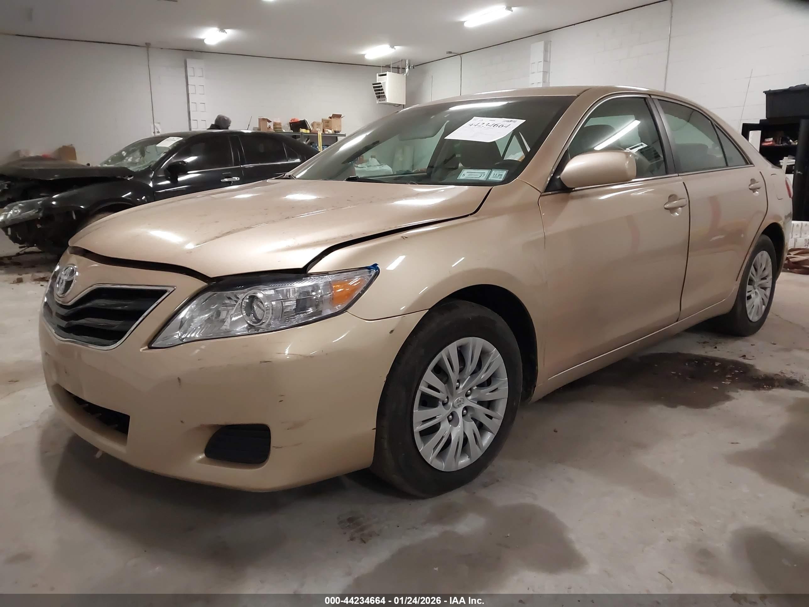 2010 Toyota Camry Le Tan vin: 4T1BF3EKXAU115200