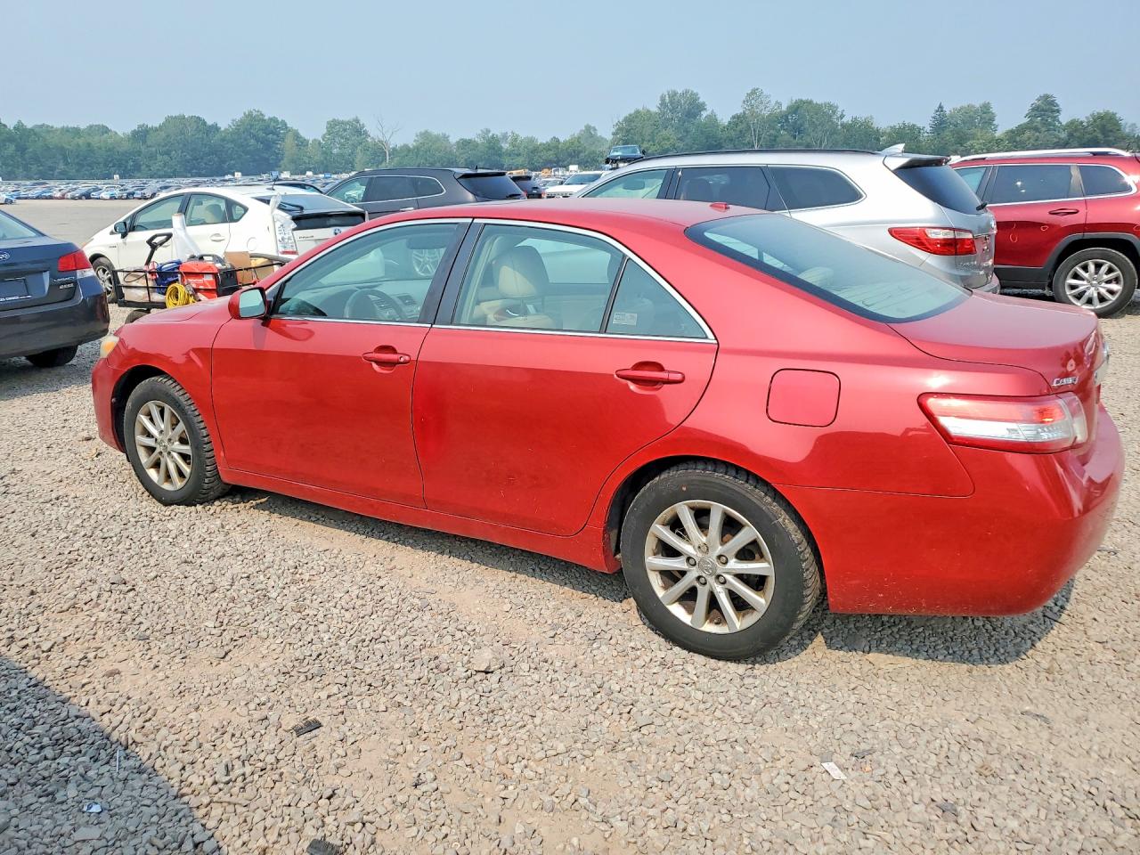 2011 Toyota Camry Xle Red vin: 4T1BF3EKXBU749916