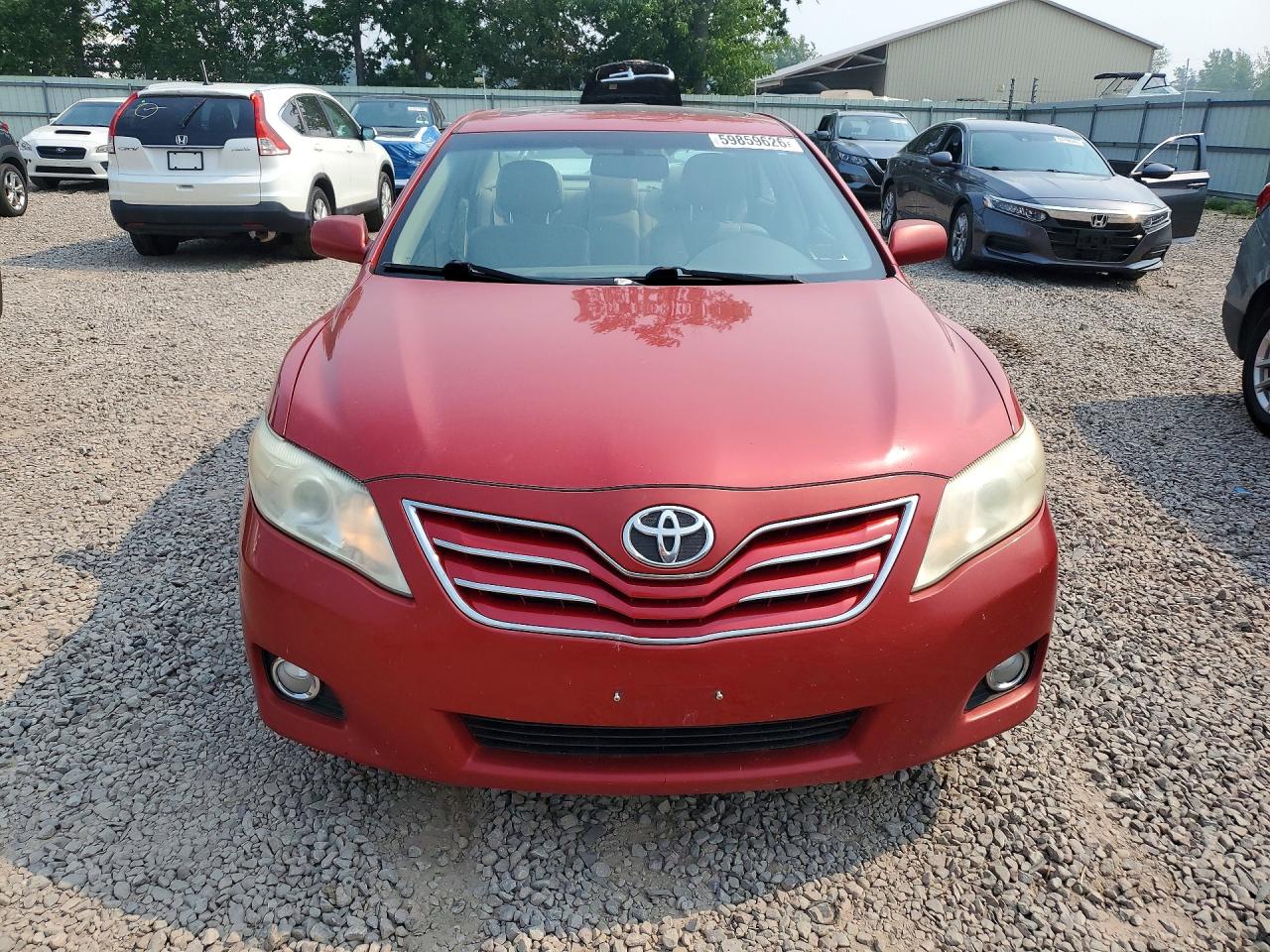 2011 Toyota Camry Xle Red vin: 4T1BF3EKXBU749916