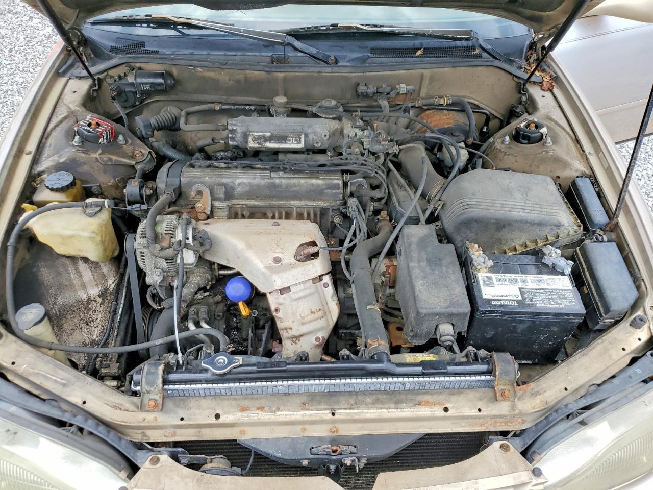 1996 Toyota Camry Le Beige vin: 4T1BG12K4TU686433