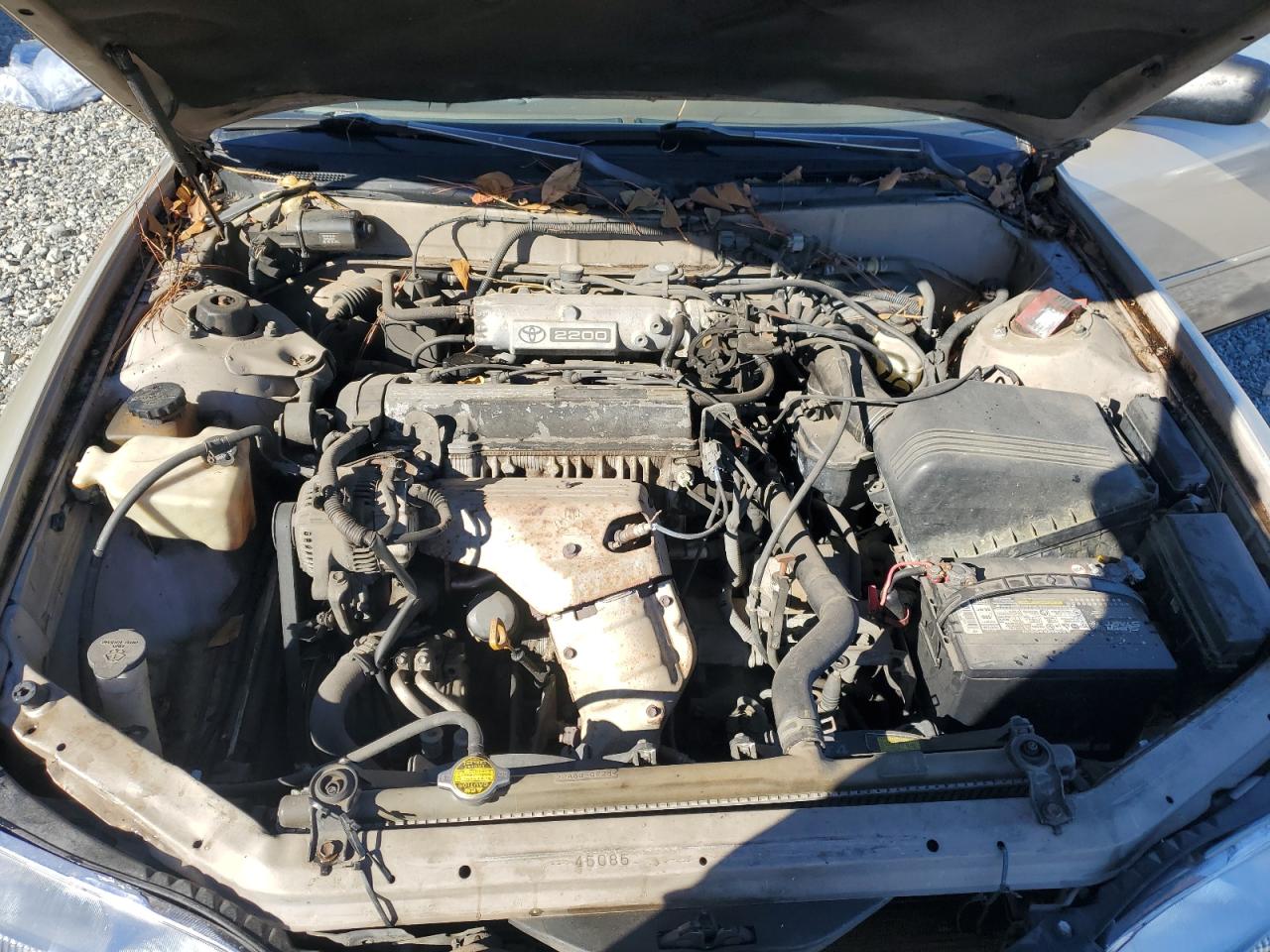 1996 Toyota Camry Dx Tan vin: 4T1BG12K8TU764664